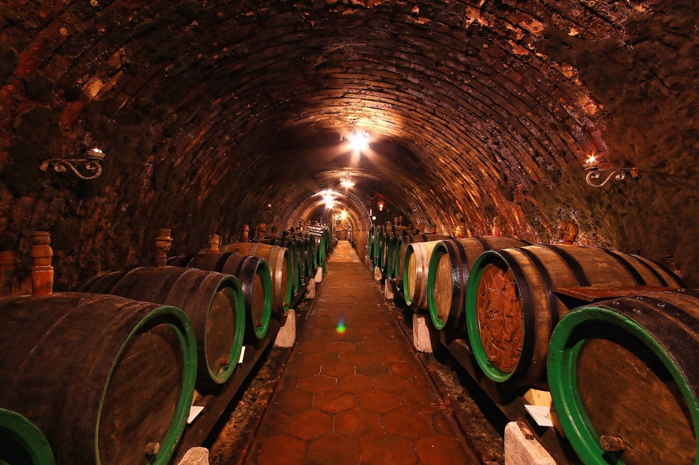 Rodinné vinařství Turzík foto 4