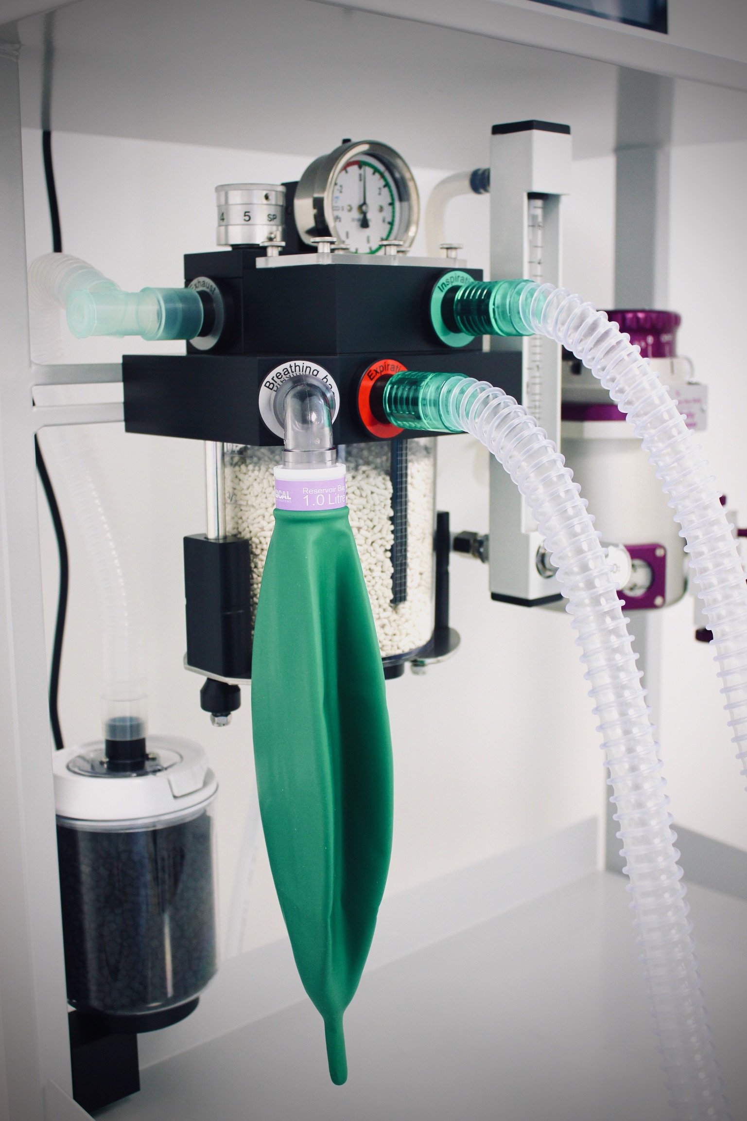 Veterinární klinika Jitřní - Černošice foto 6