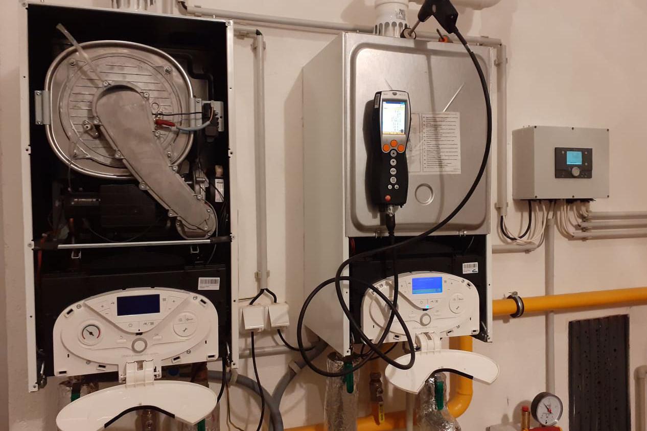 Inplyto - Antonín Raban