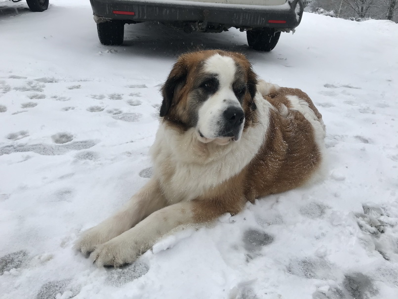 Minipivovar Na Perlíčku – Prdek foto 4