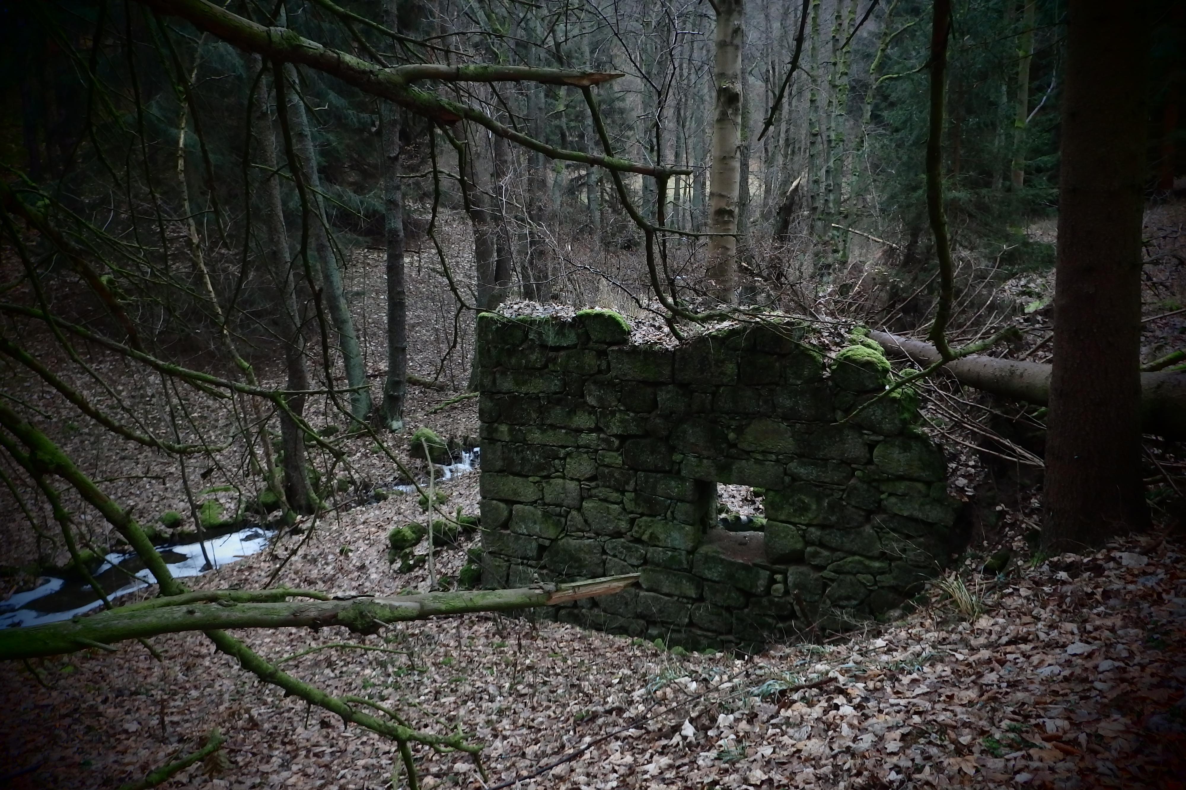MÚ Sokolov - Odbor sociálních věcí foto 2