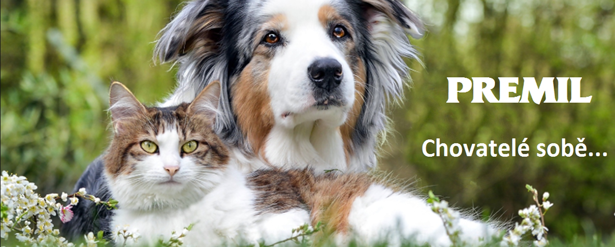 Ing. Jana Reichlová foto 2