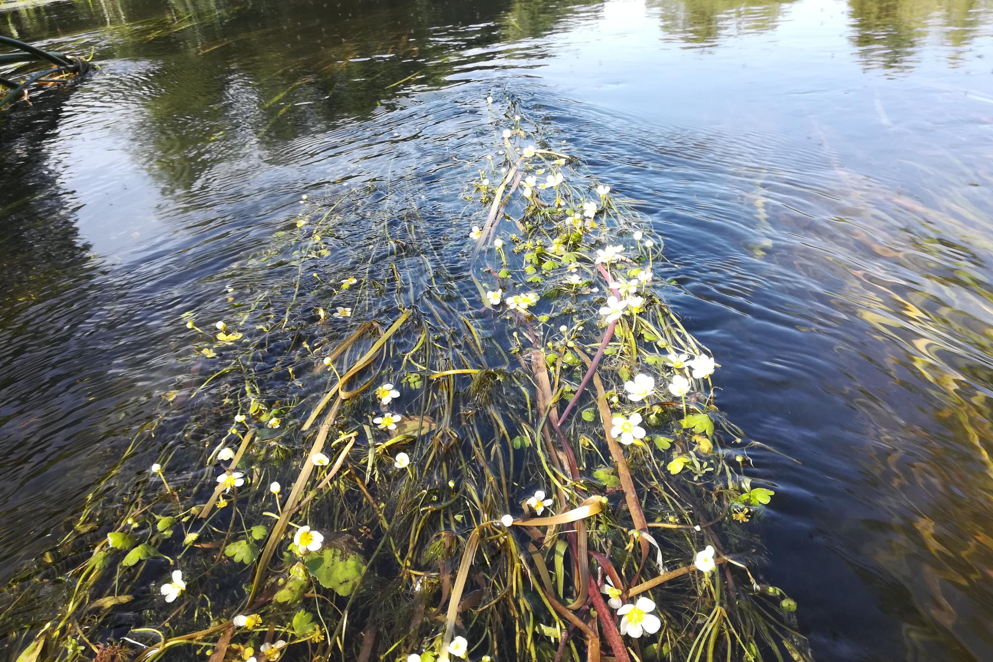 Ing. Jana Řezníková - Projektování vodohospodářských staveb
