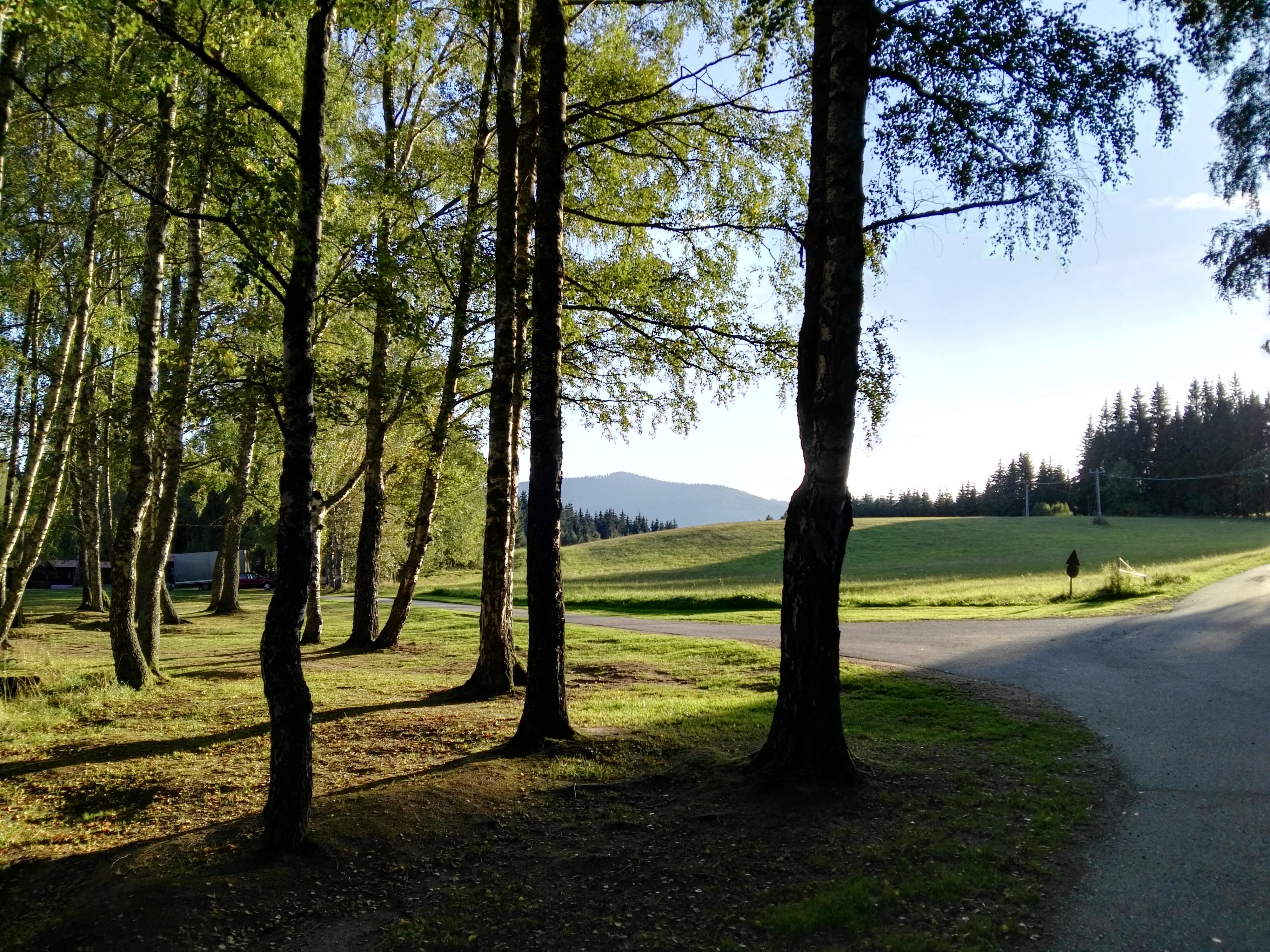 Přátelé dětí foto 4