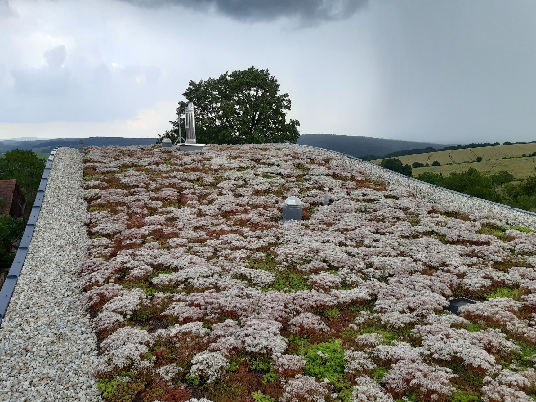 EKROST - zelené střechy foto 5