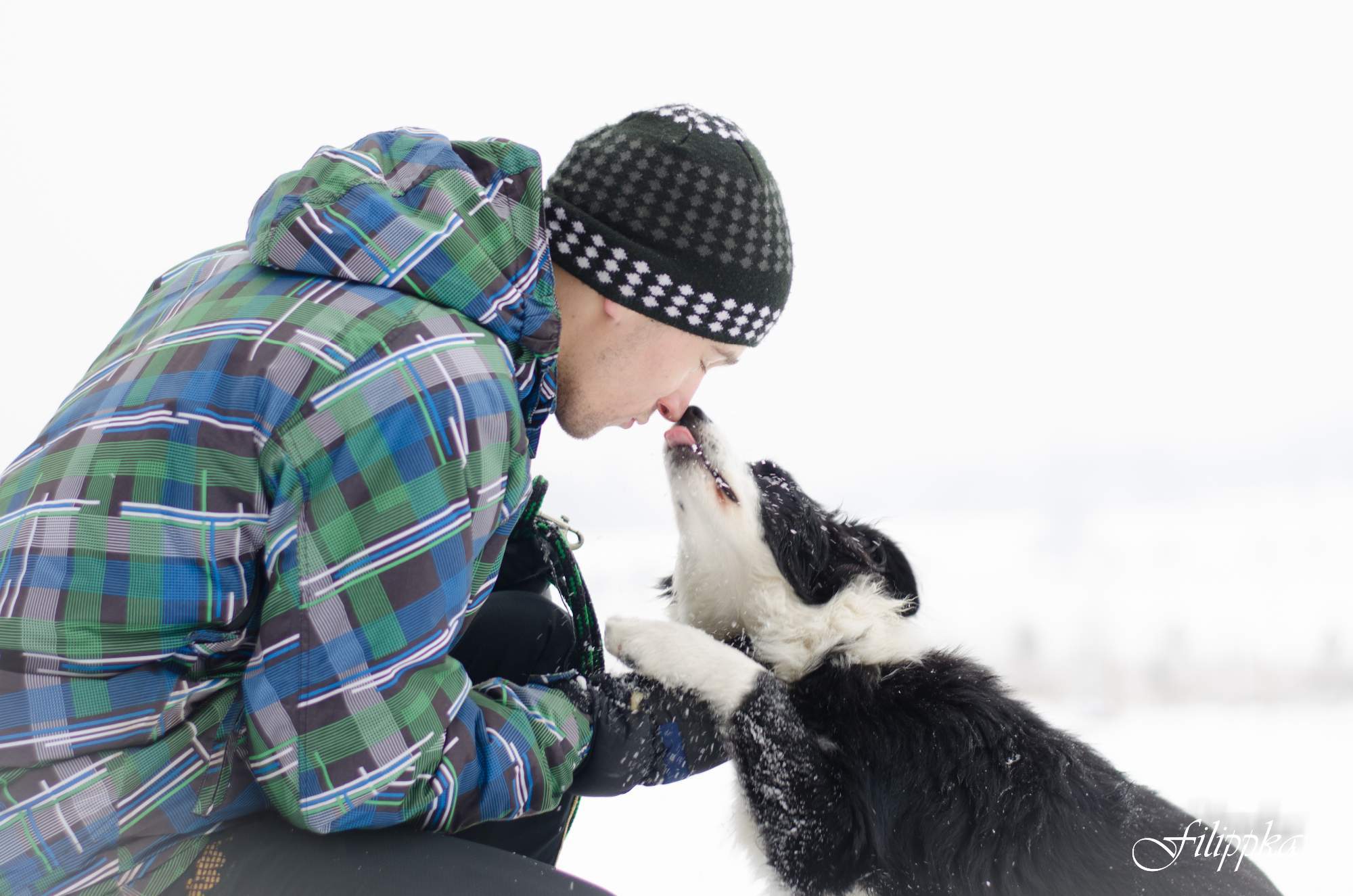 Psí škola Pohoda foto 4