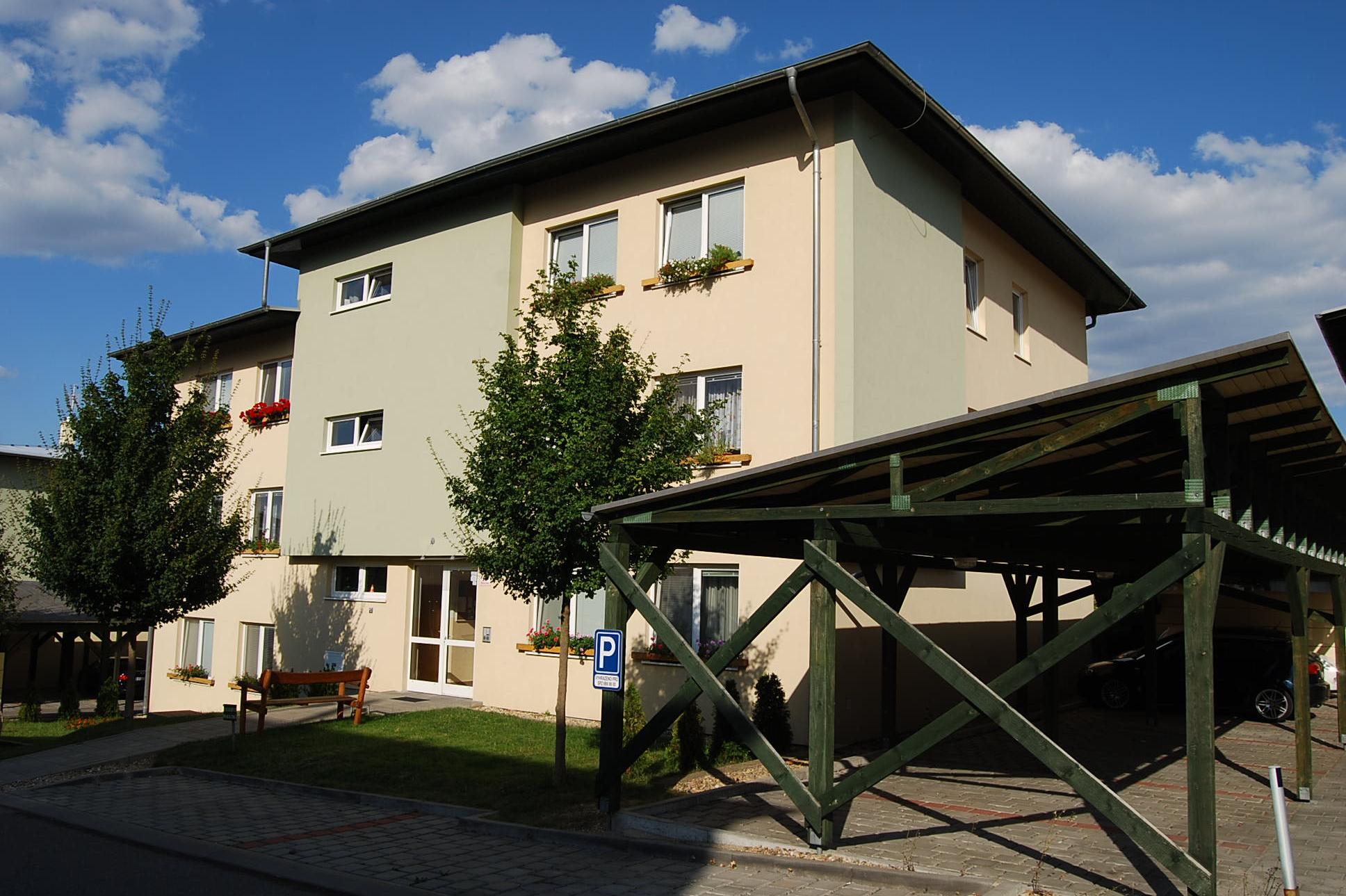 David Herman - doublebass and historical bows