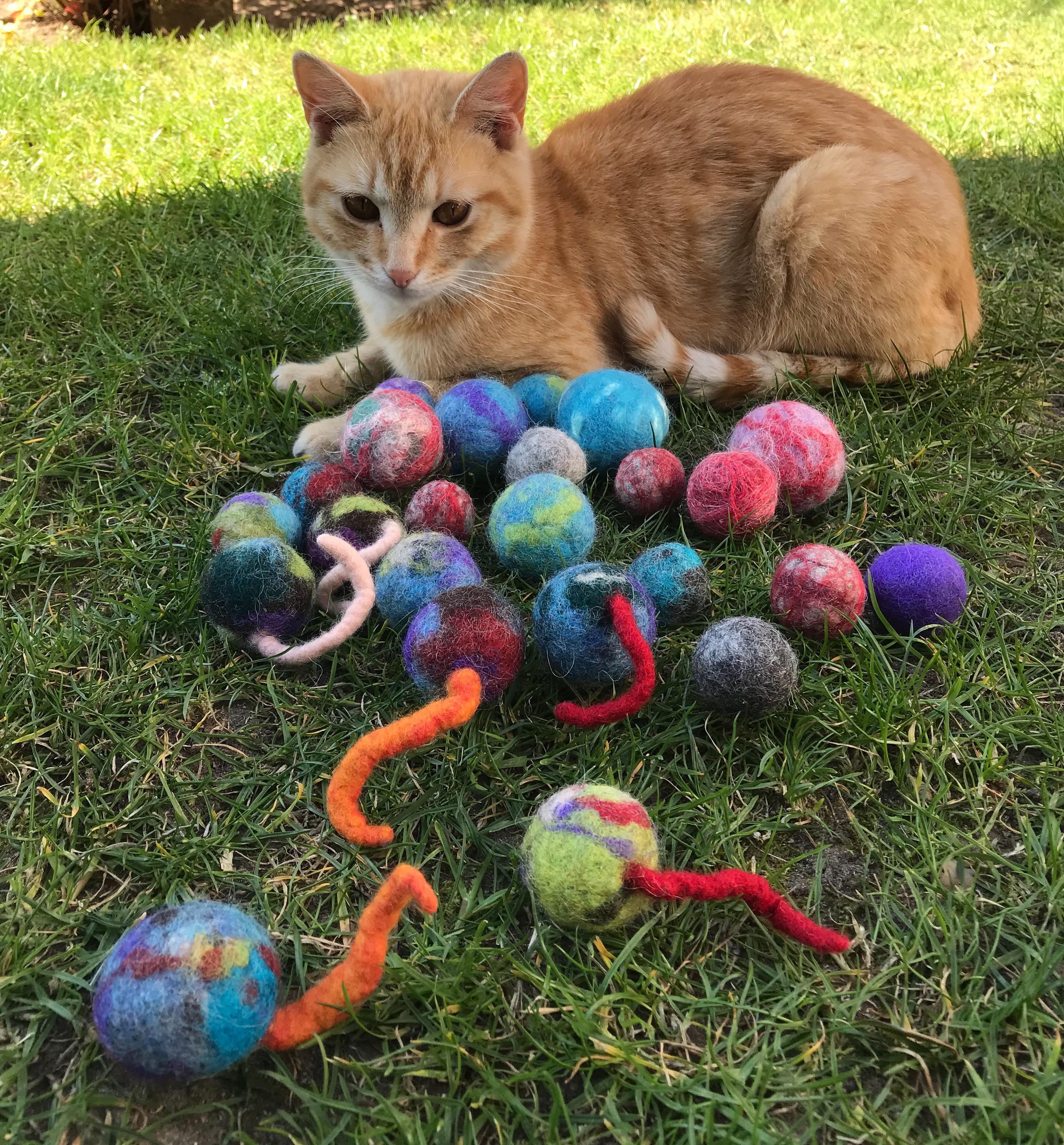 Jolana Hlavová foto 2