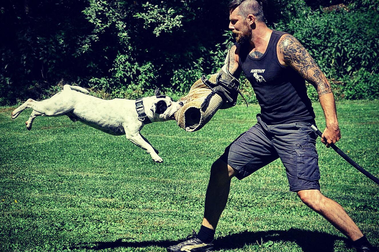 Damal - kynologické centrum