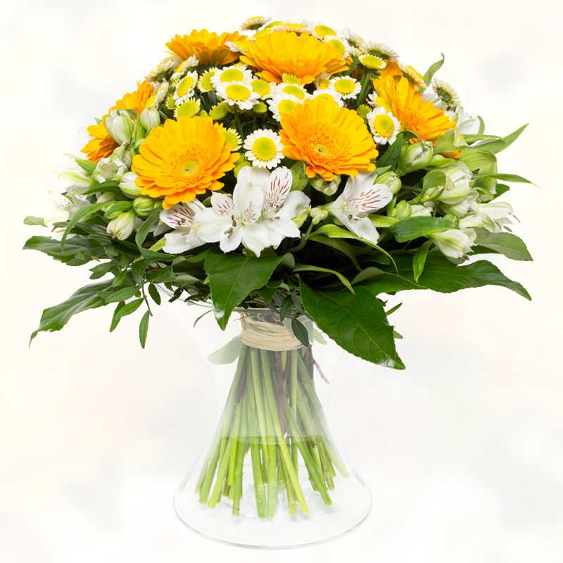 Květiny Chládek online foto 3