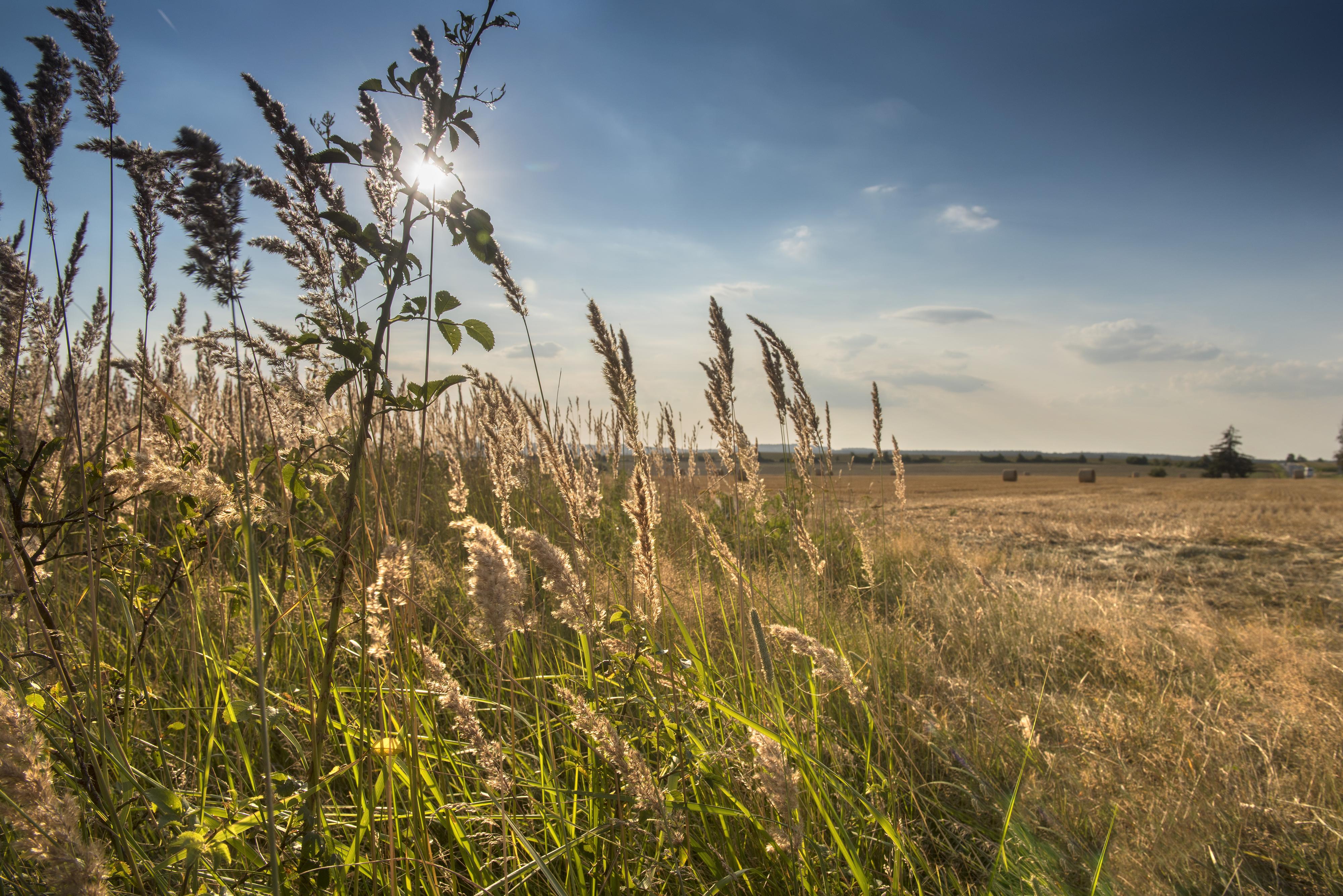 Vysočina Tourism foto 6