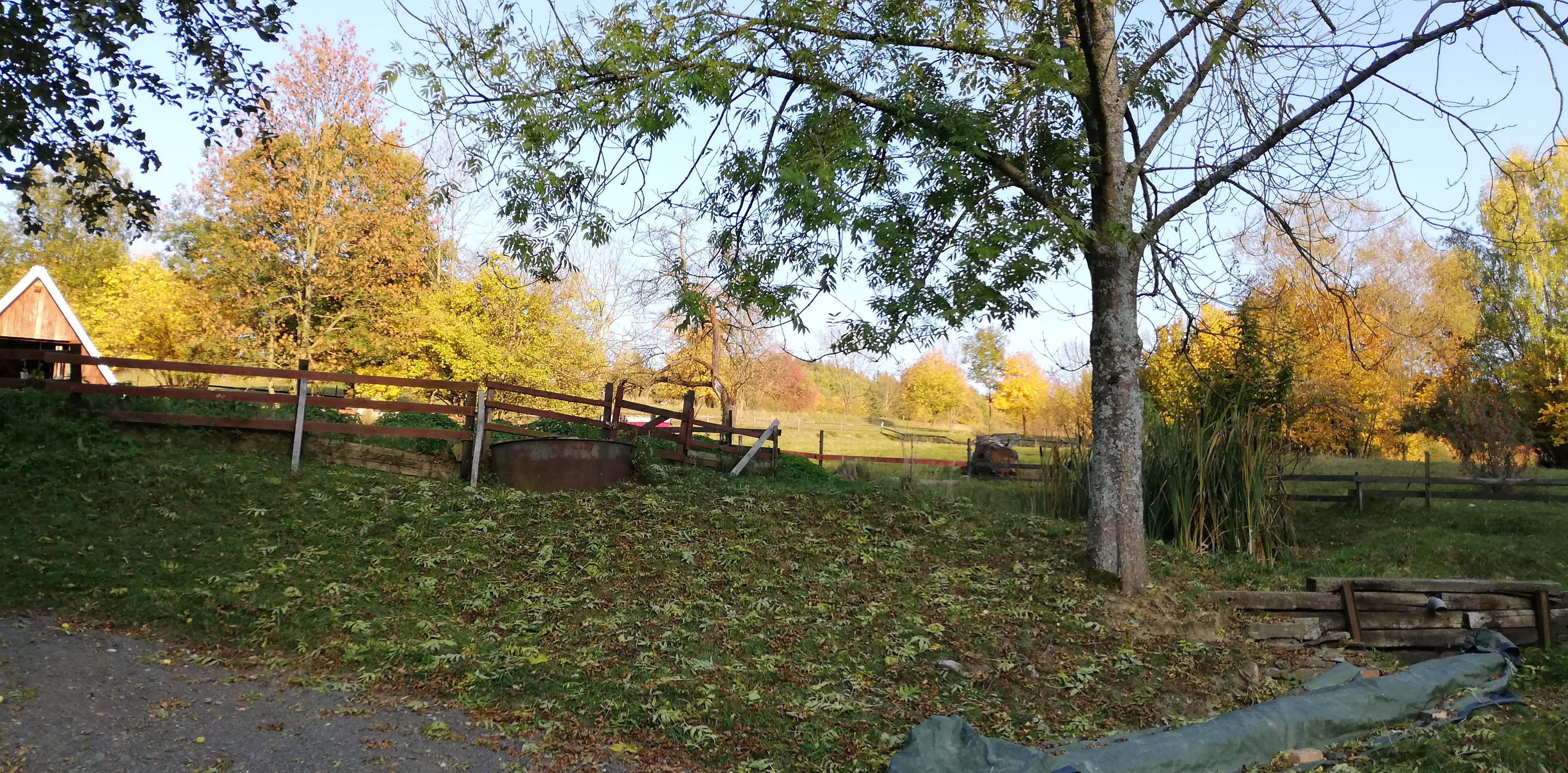 Farma Severka foto 2