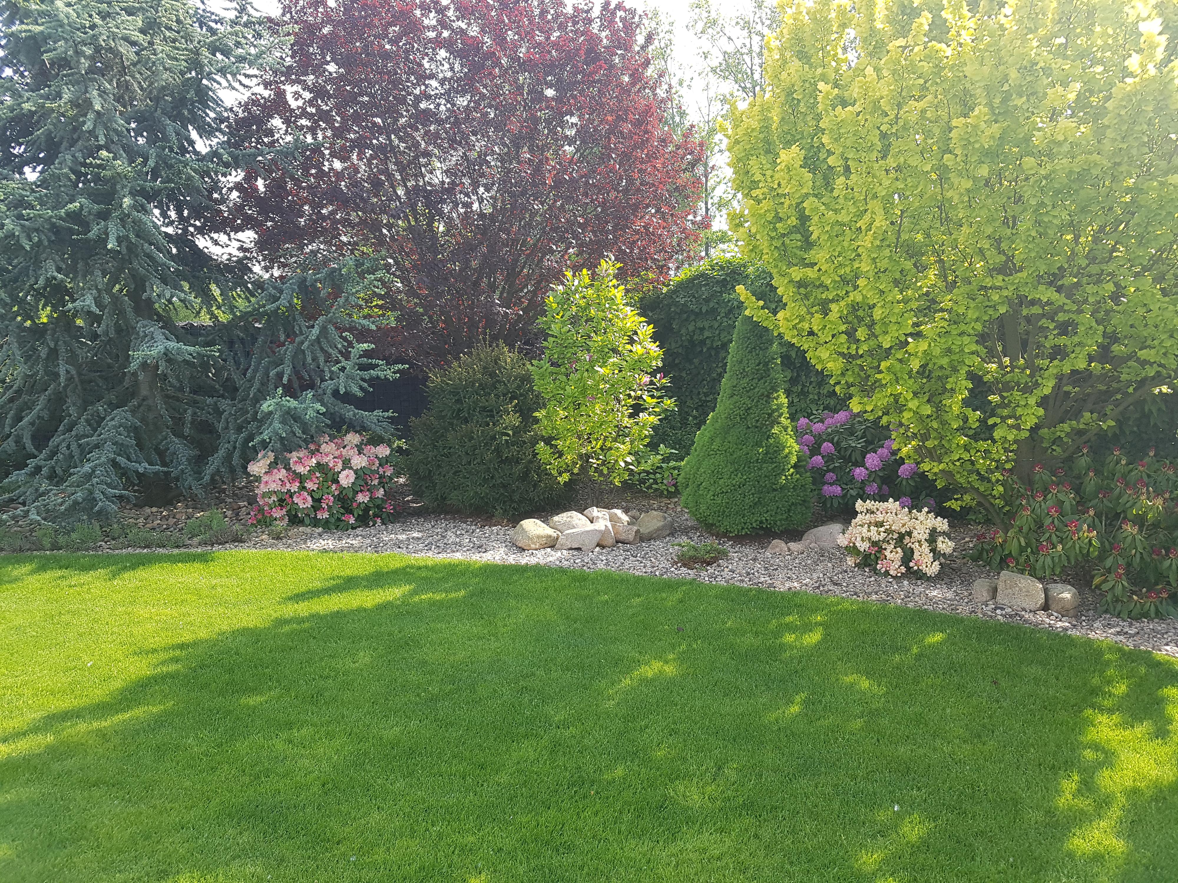 AZ - Pomoc.cz - Jiří Zeman foto 2