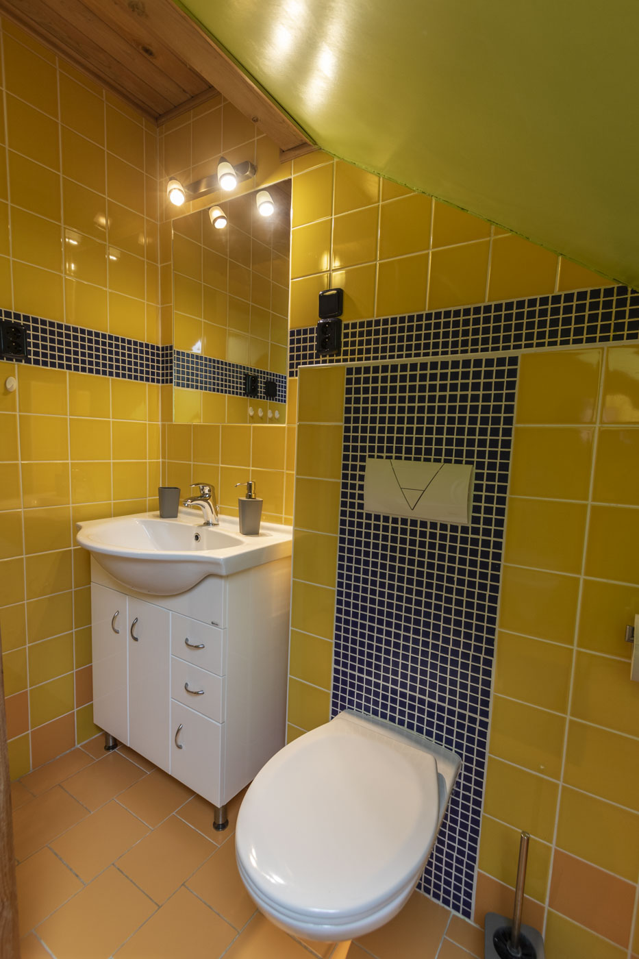 Penzion u Víchů foto 2