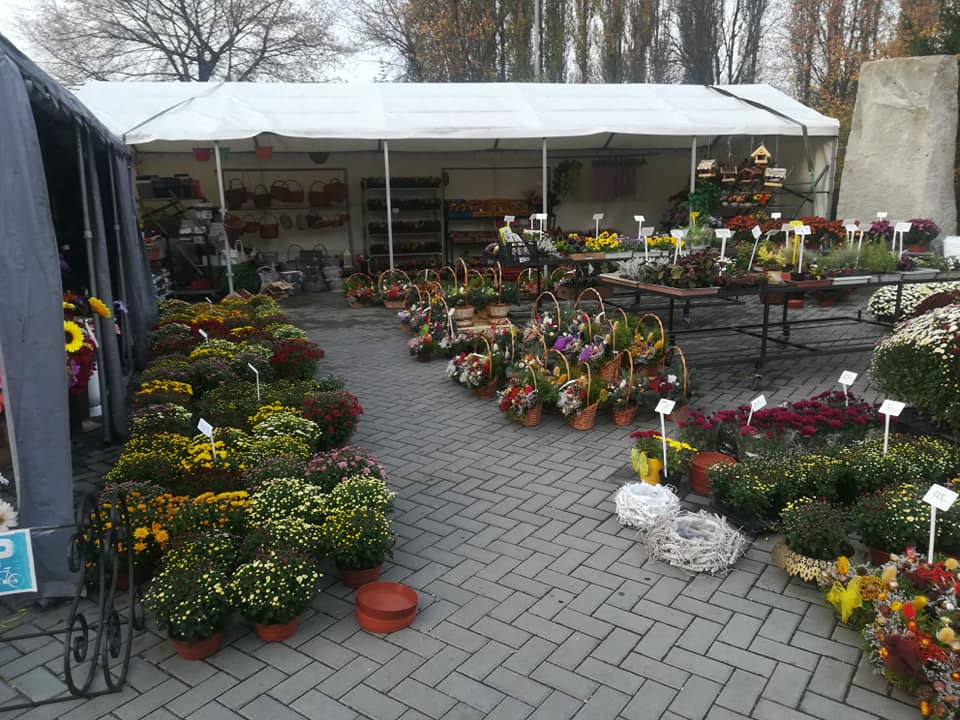 Zahradnictví Karviná - FRUTO.CZ foto 2