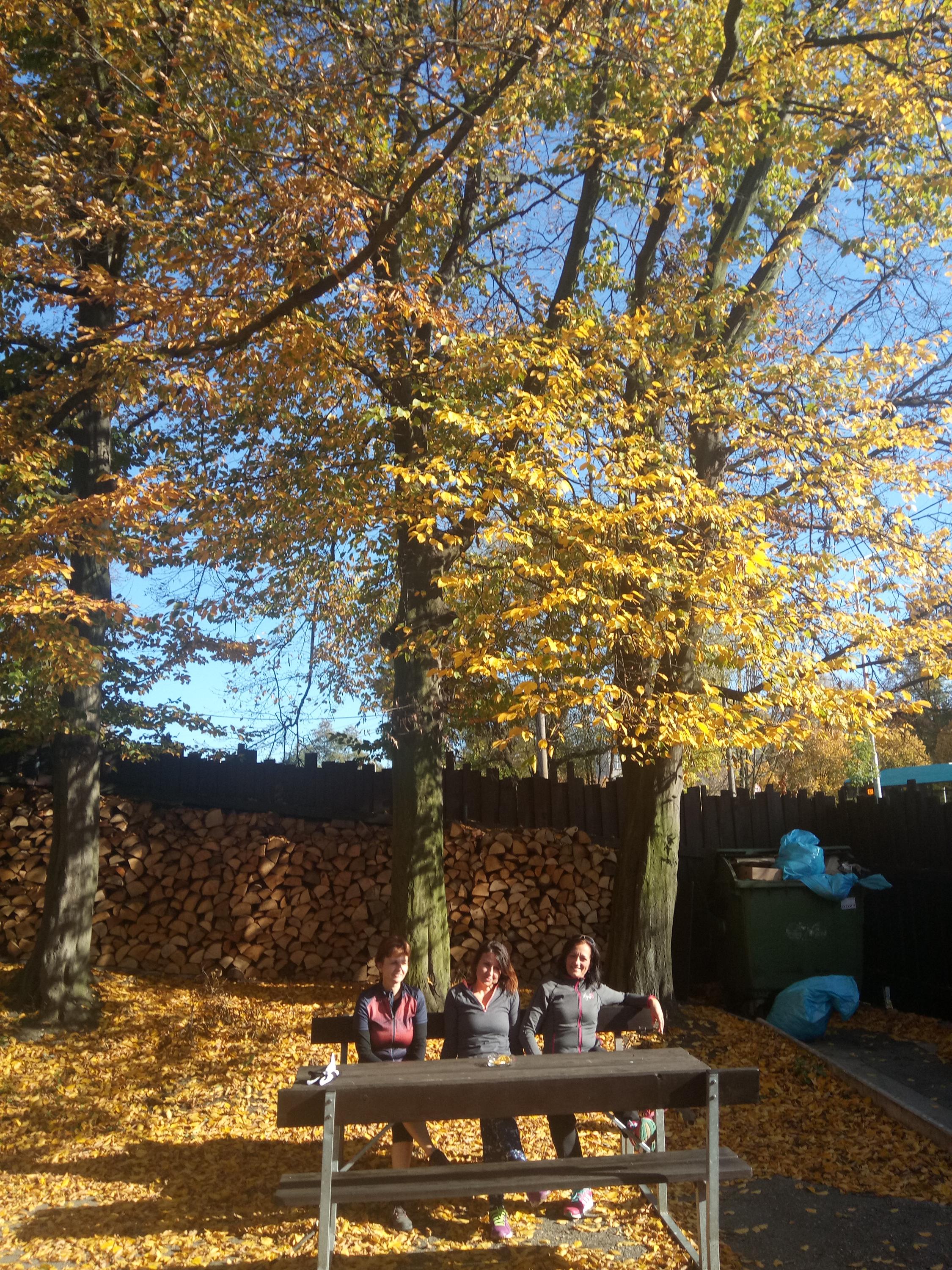 Řízkárna u Orla foto 5