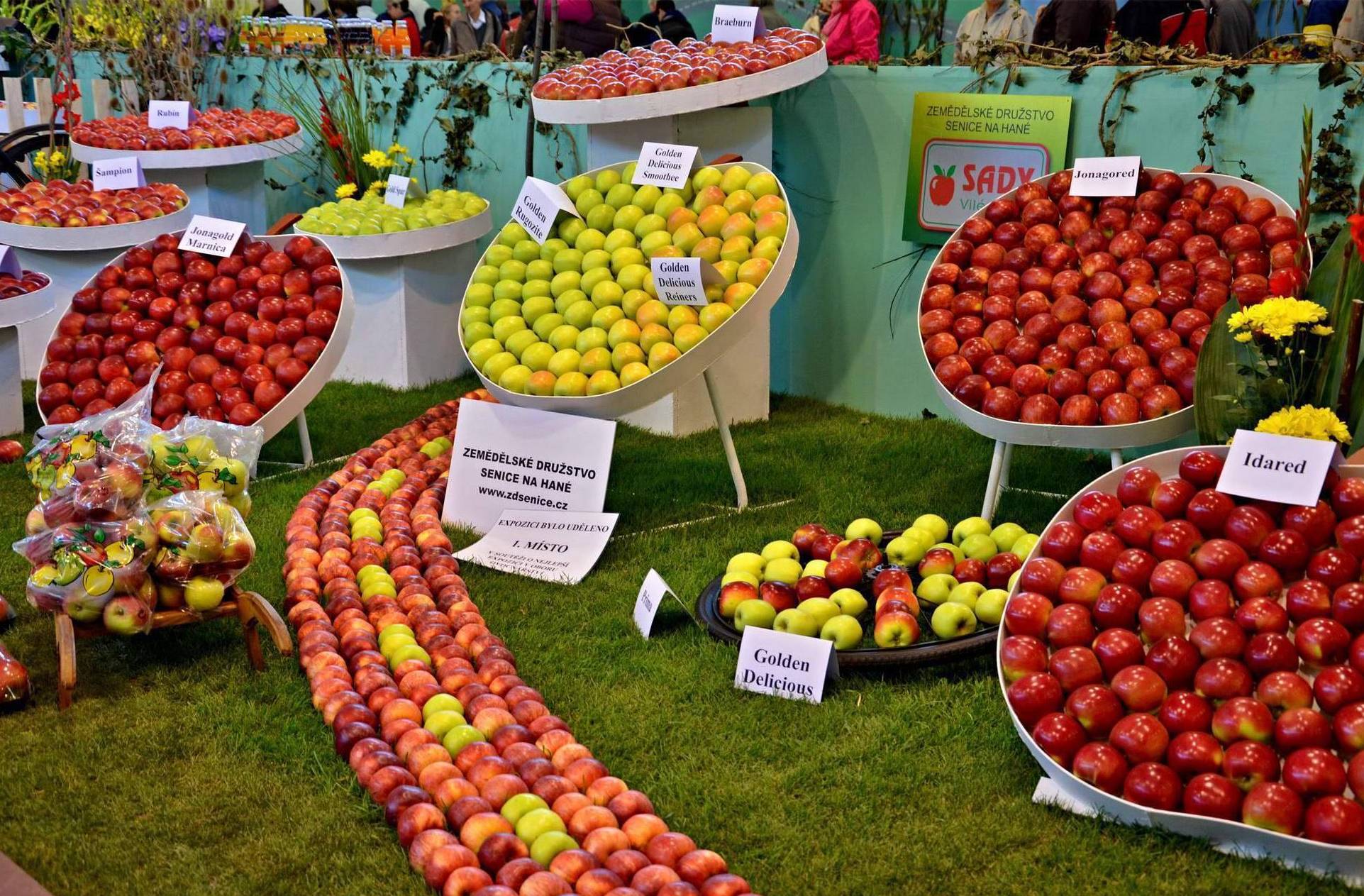 Sady Vilémov Zemědělské družstvo Senice na Hané