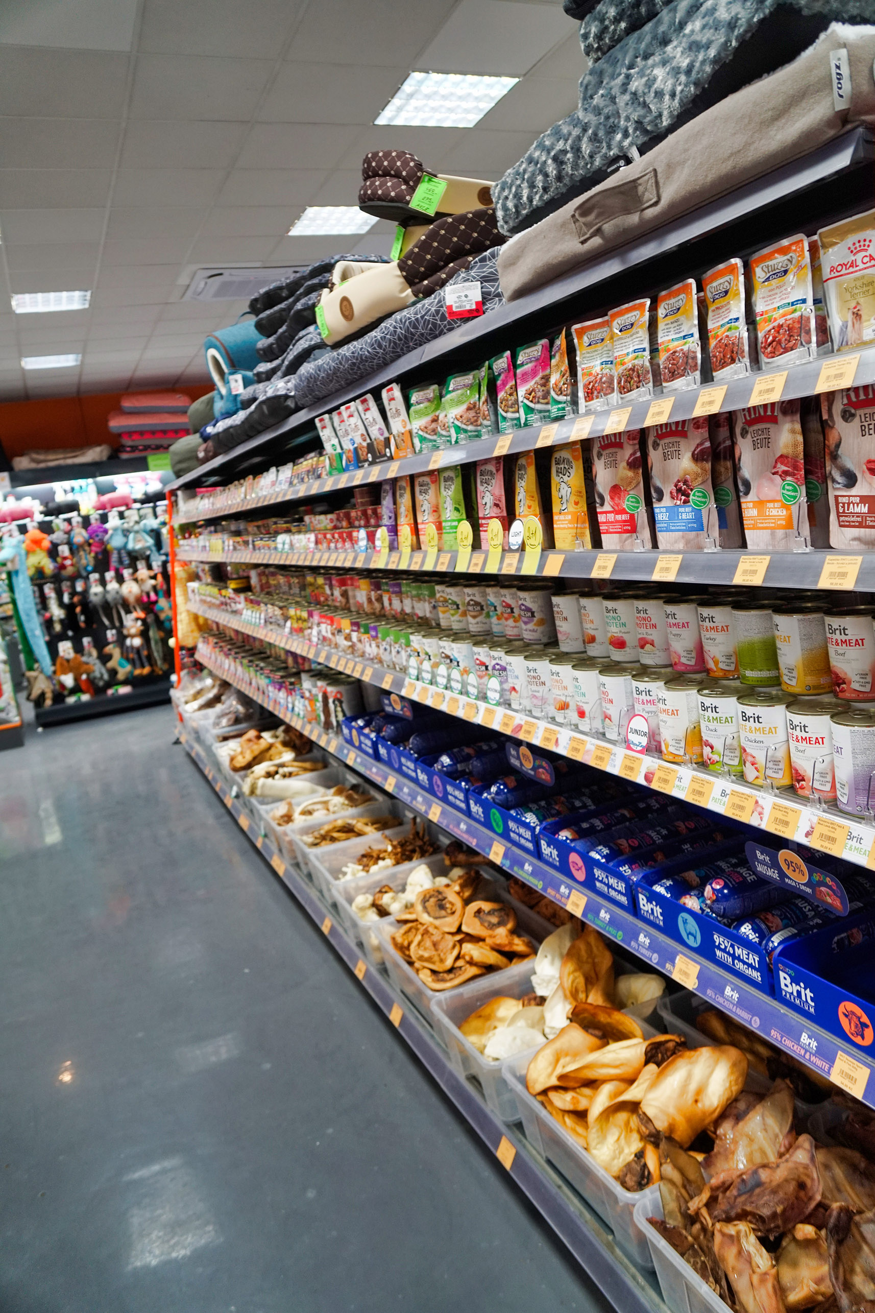 HappyZoo - Galaxie foto 6