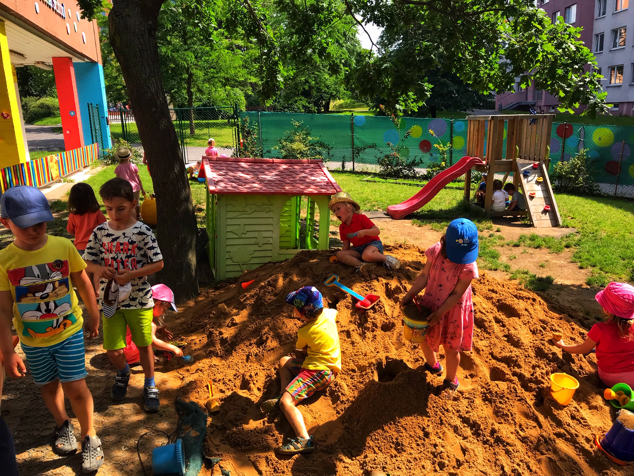 Mateřská škola a základní škola Sofia School s.r.o. foto 6