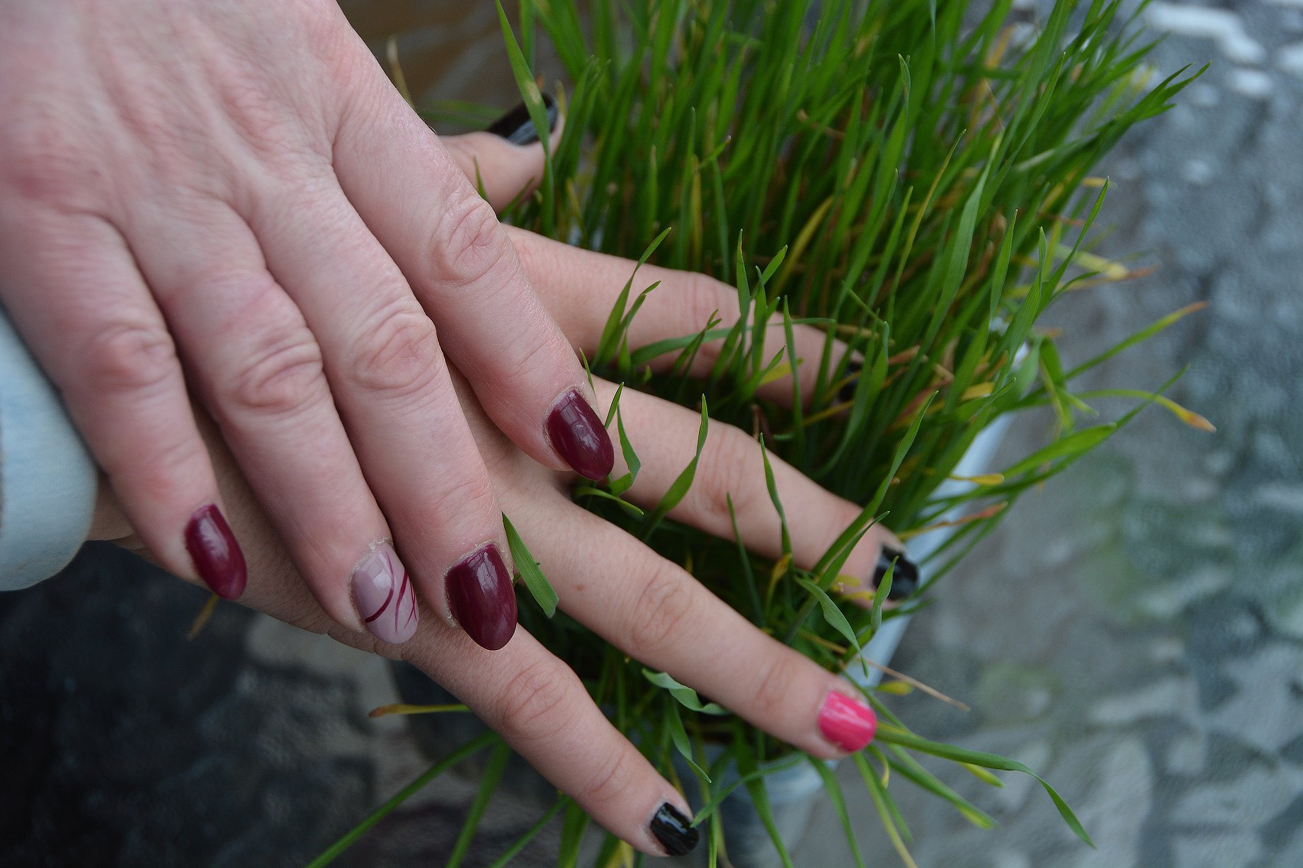 Pedikúra, manikúra, masáže Zuzana Hlavatá foto 2