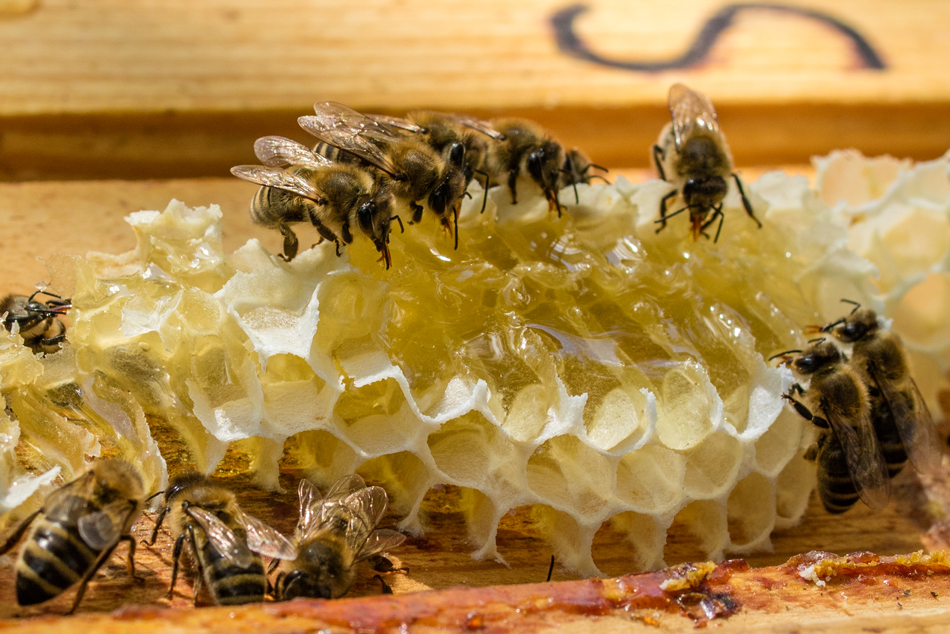 Truhlářství Jan Jirman foto 2