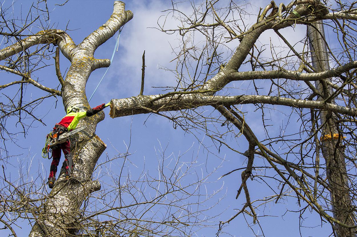 Výškové práce Dušánek