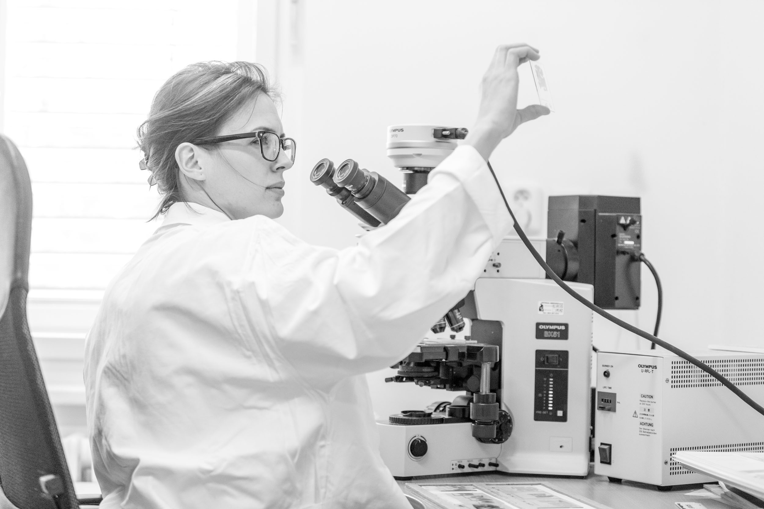 Alzheimer nadační fond