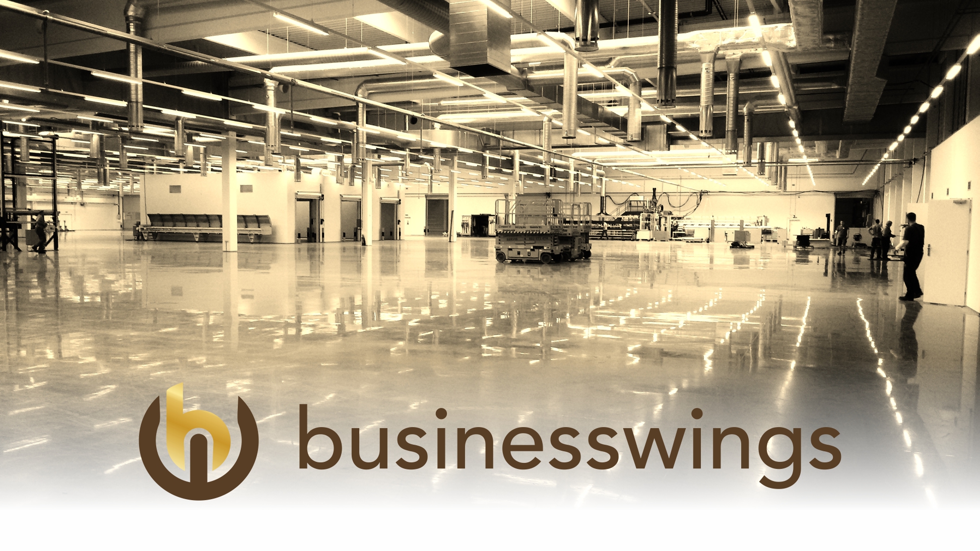 businesswings s.r.o. foto 3