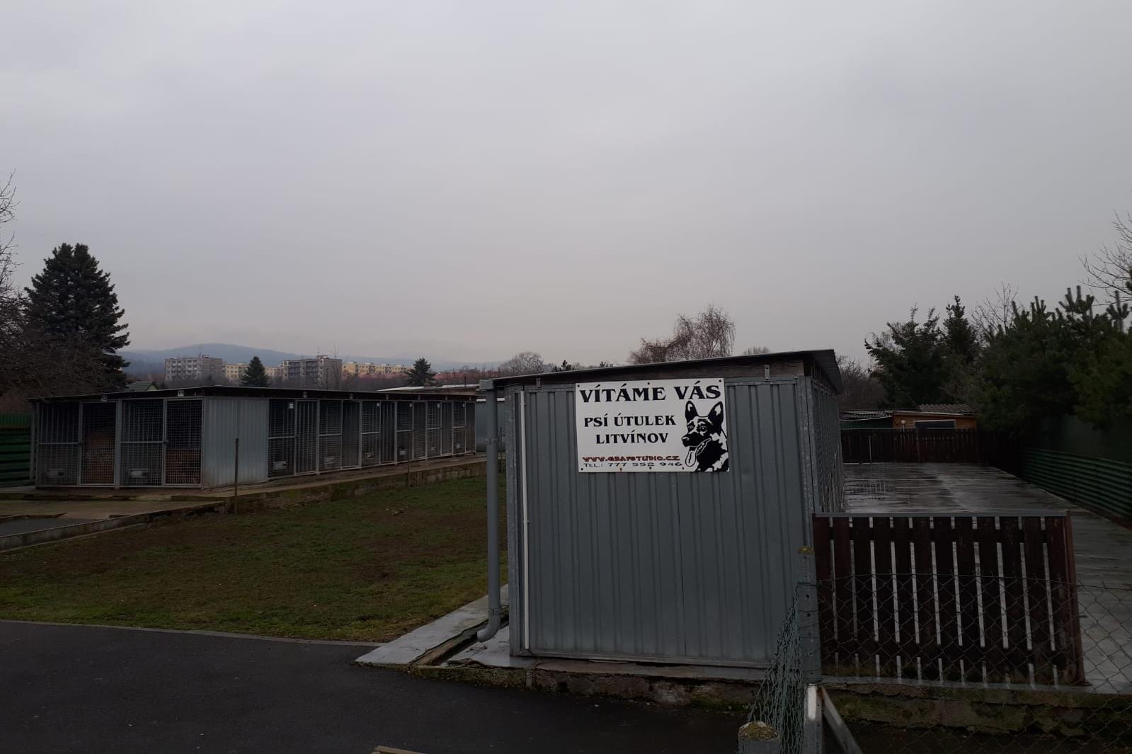 Městský útulek pro psy Litvínov