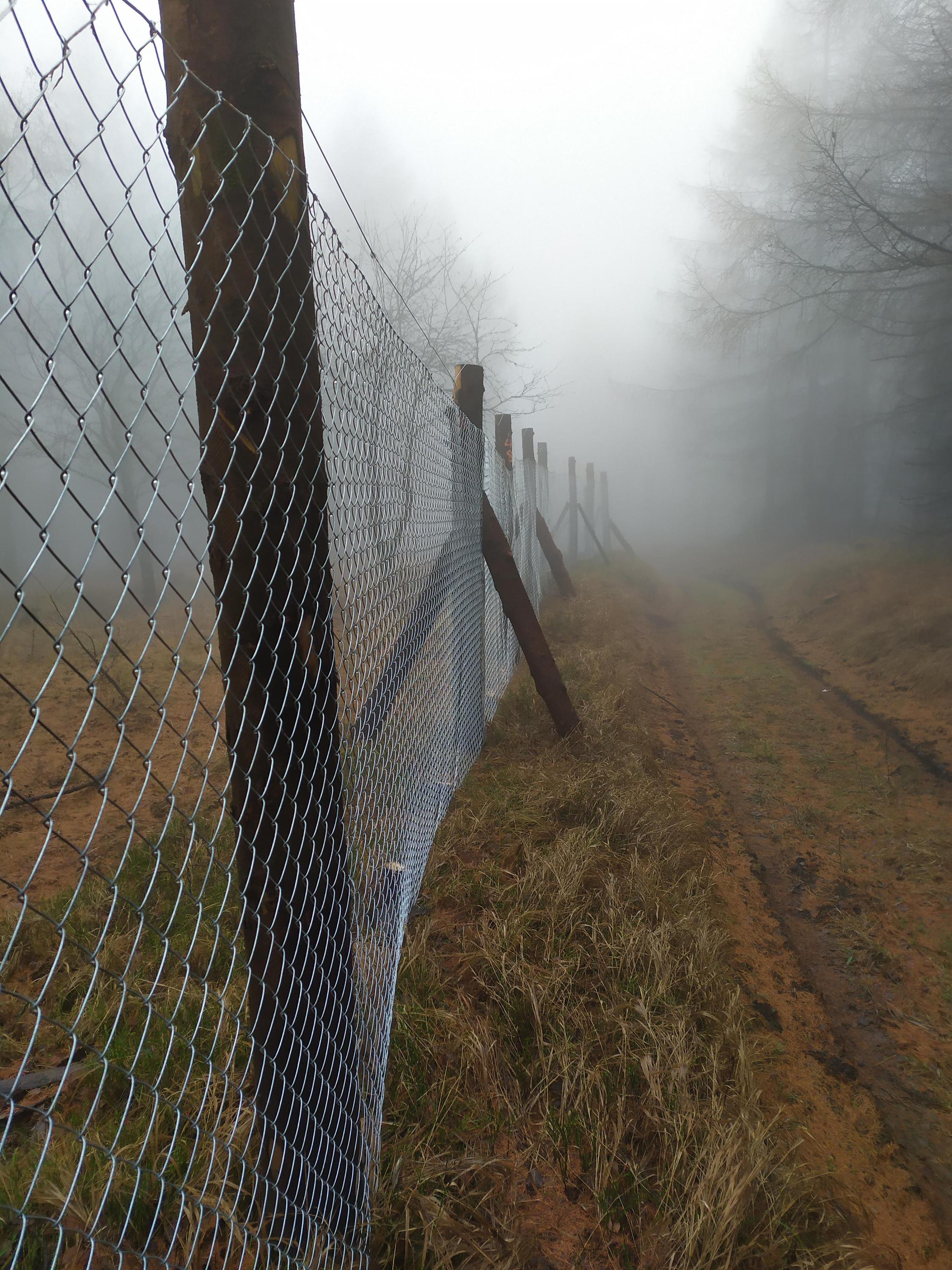 Lesní práce Dzurová foto 4