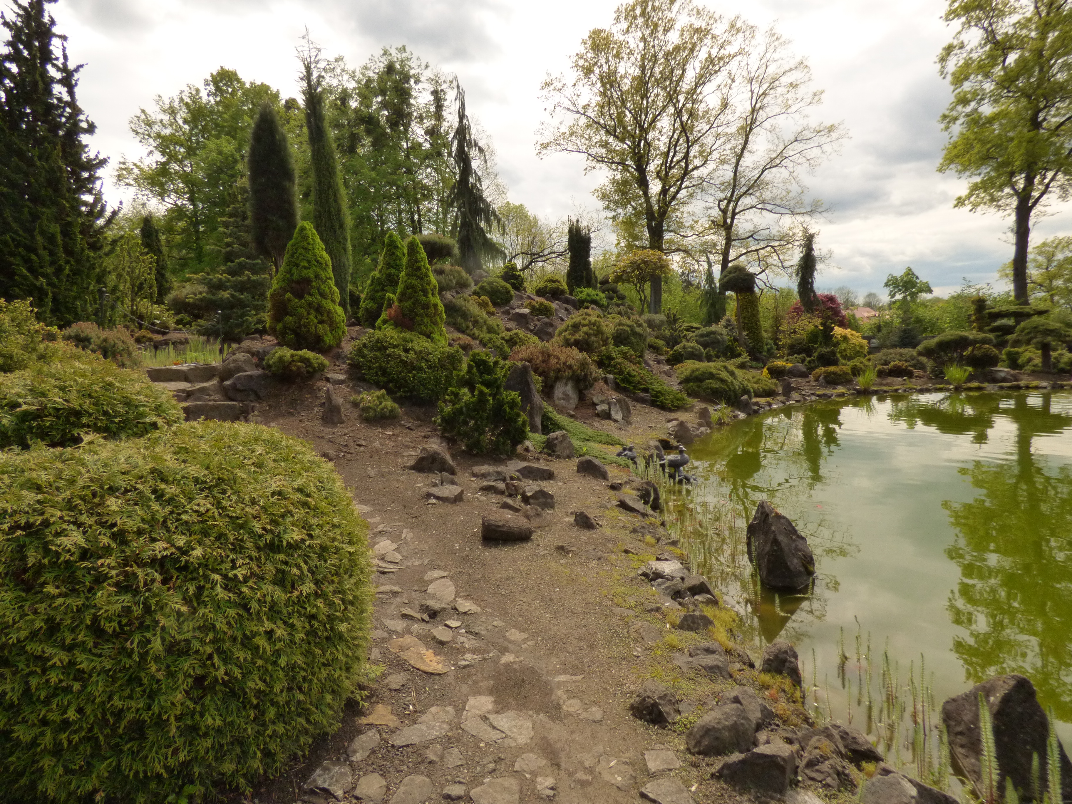 Miniarboretum foto 4