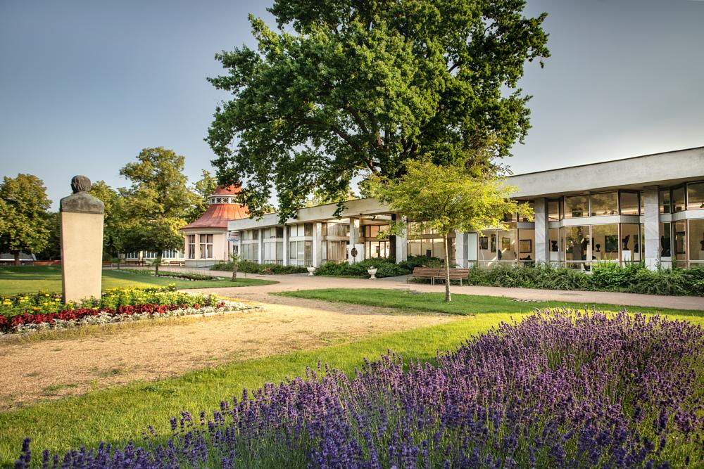 Galerie Ludvíka Kuby Poděbrady foto 2