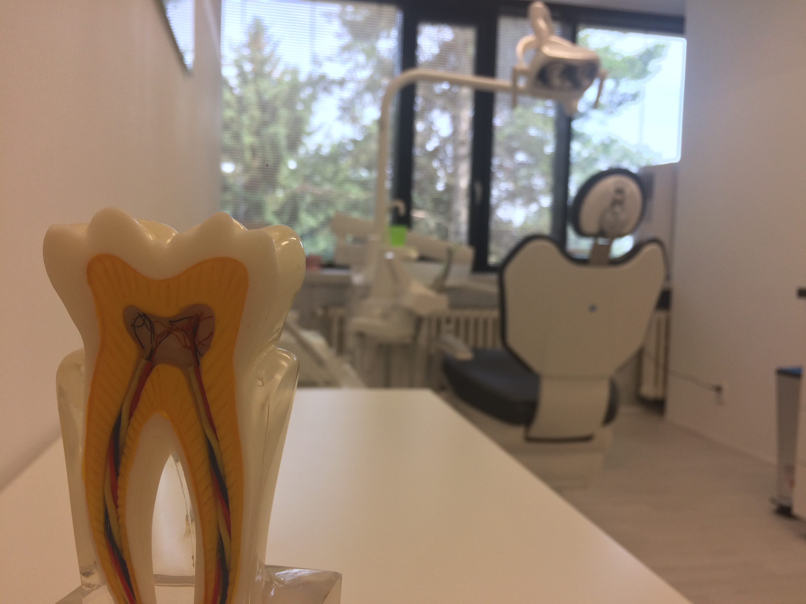 Dentální hygiena Šárka Wilhelmová, DiS. foto 6