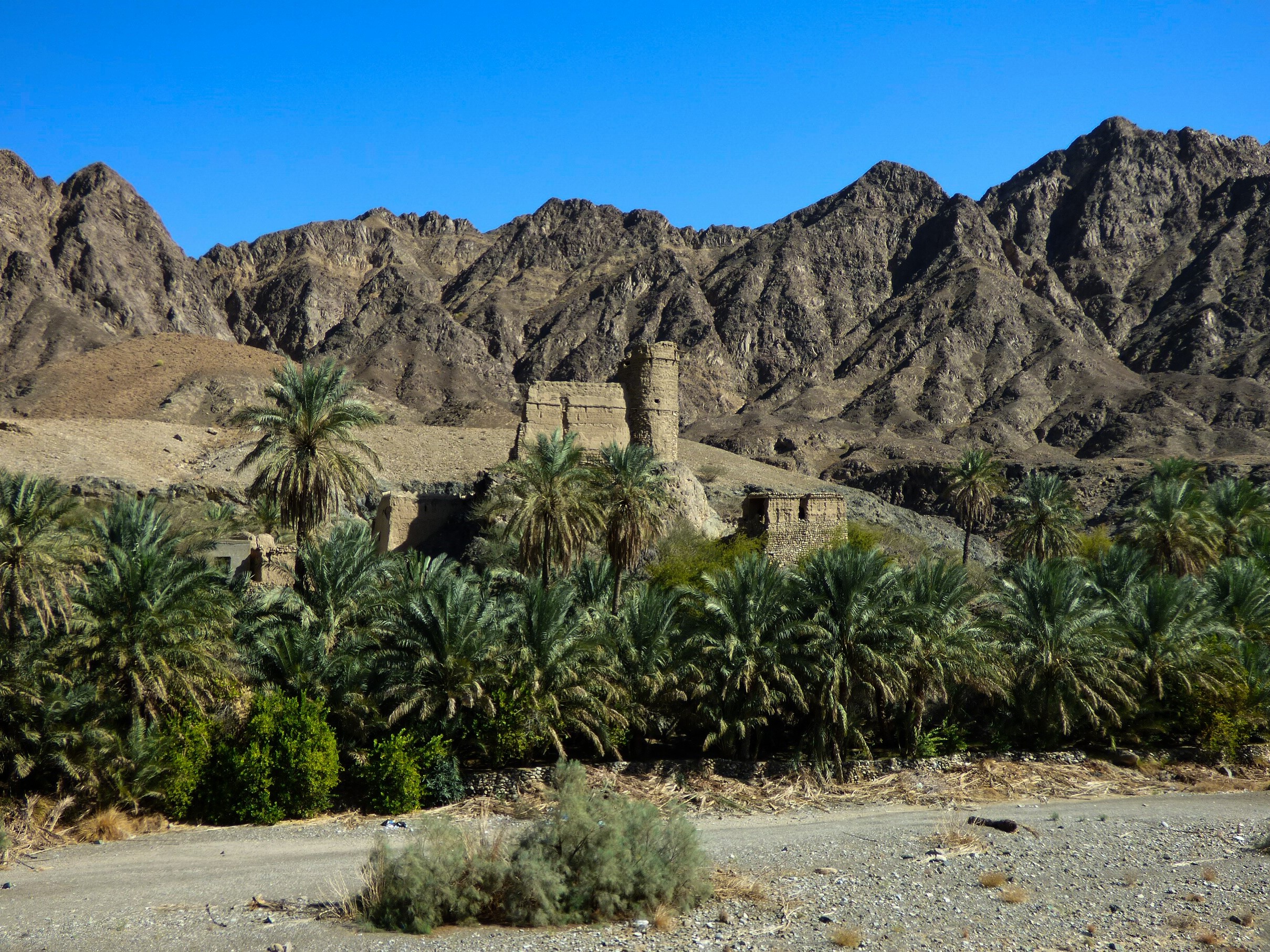 Expedice-woodcraft.eu foto 2