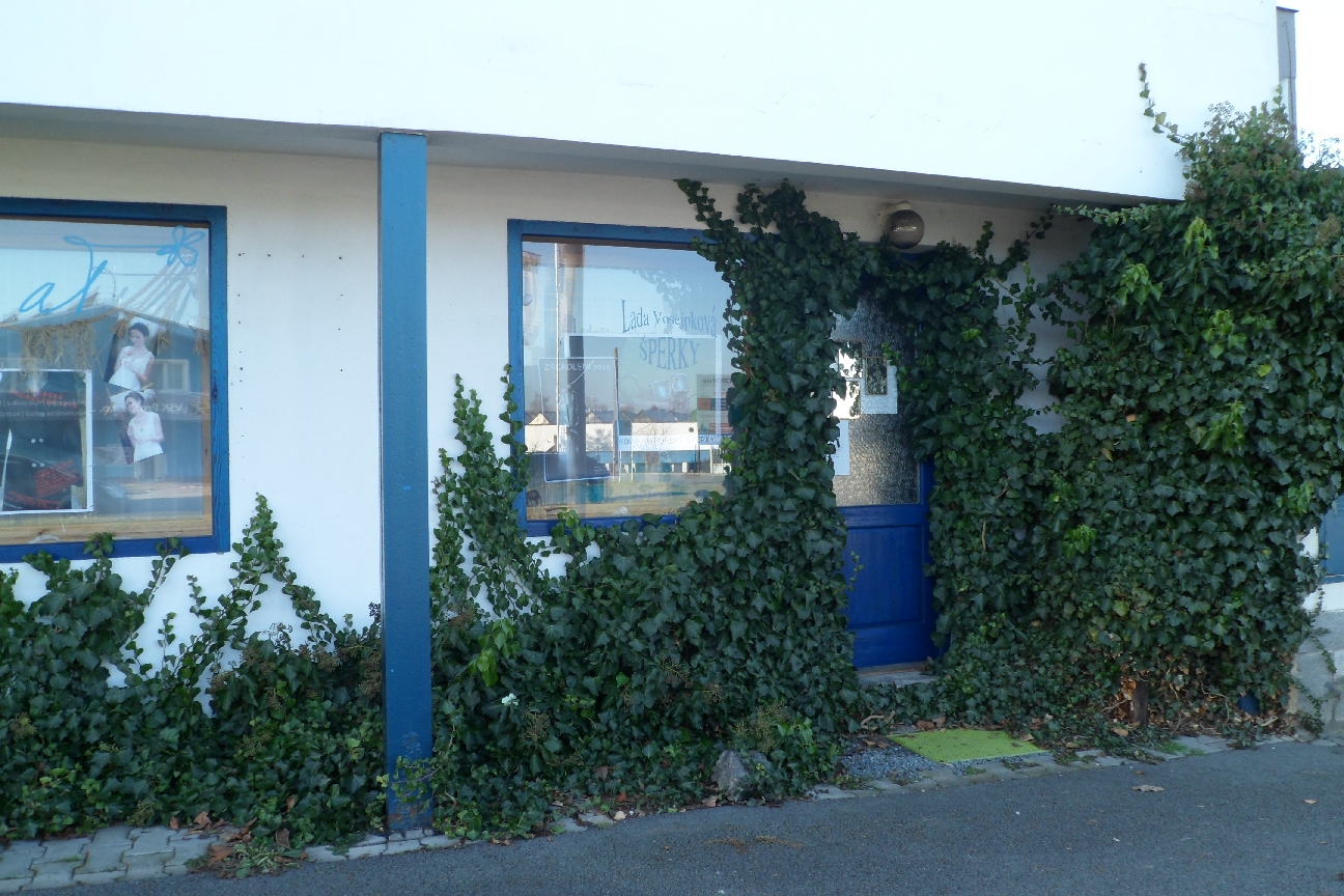 Lada Vosejpková ŠPERKY