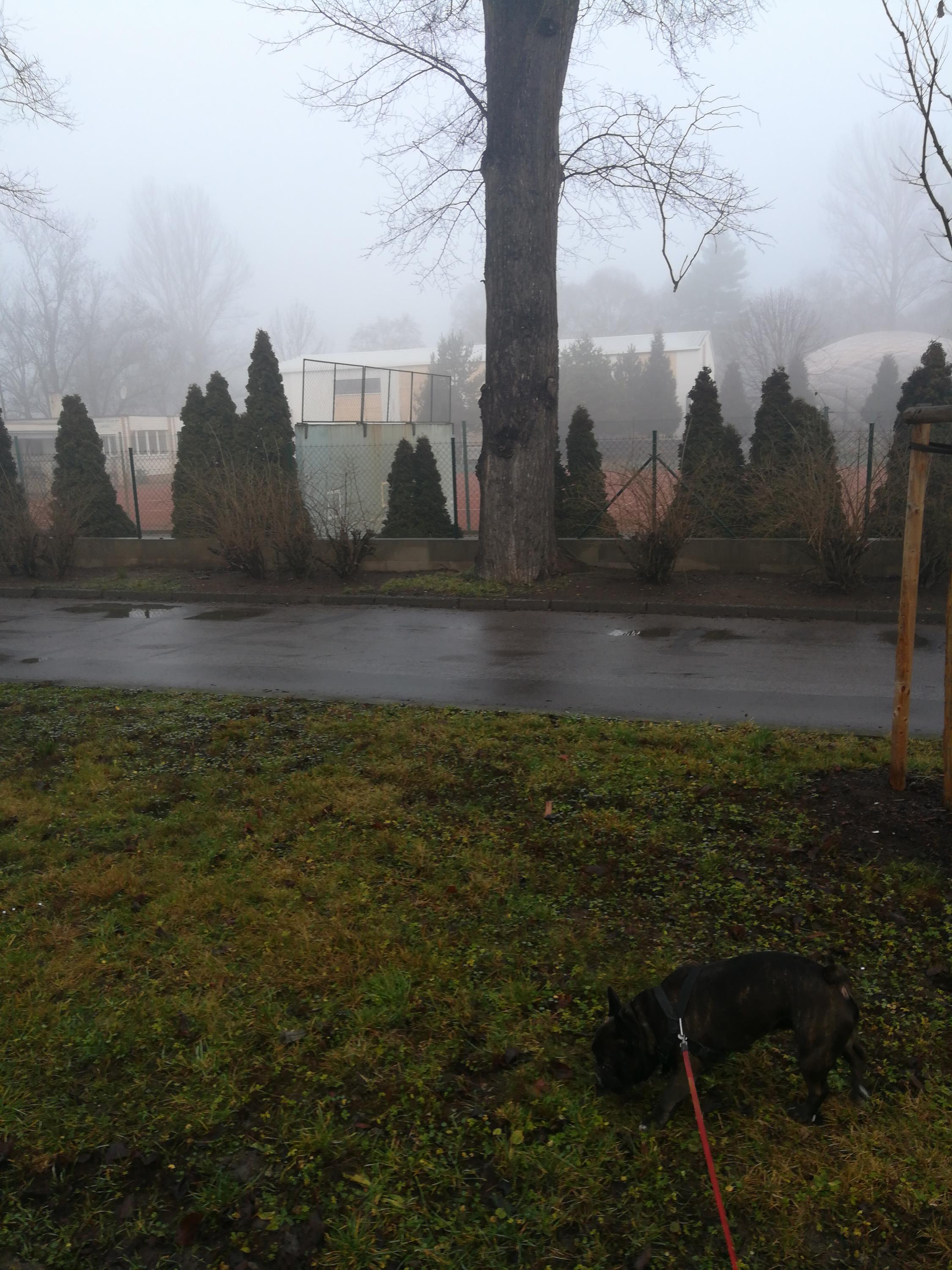 Tenisový klub Louny foto 2