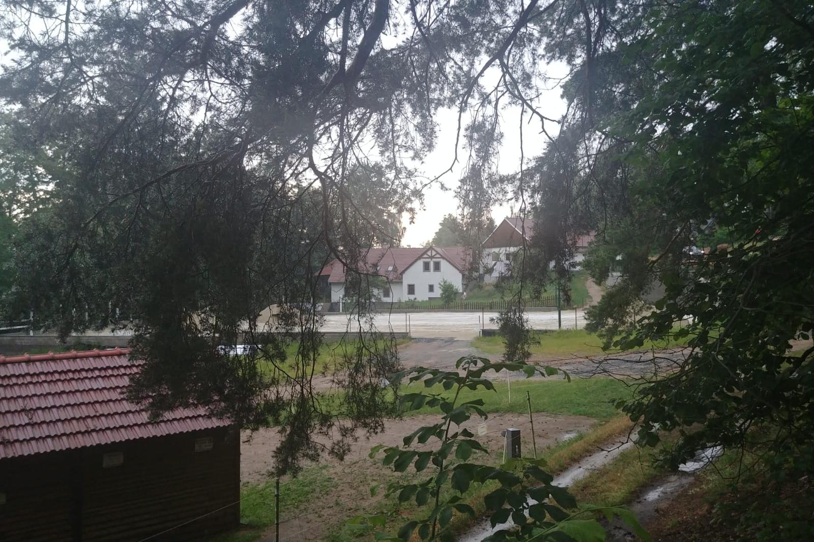 Jezdecký klub Opatský Mlýn, z.s. foto 1