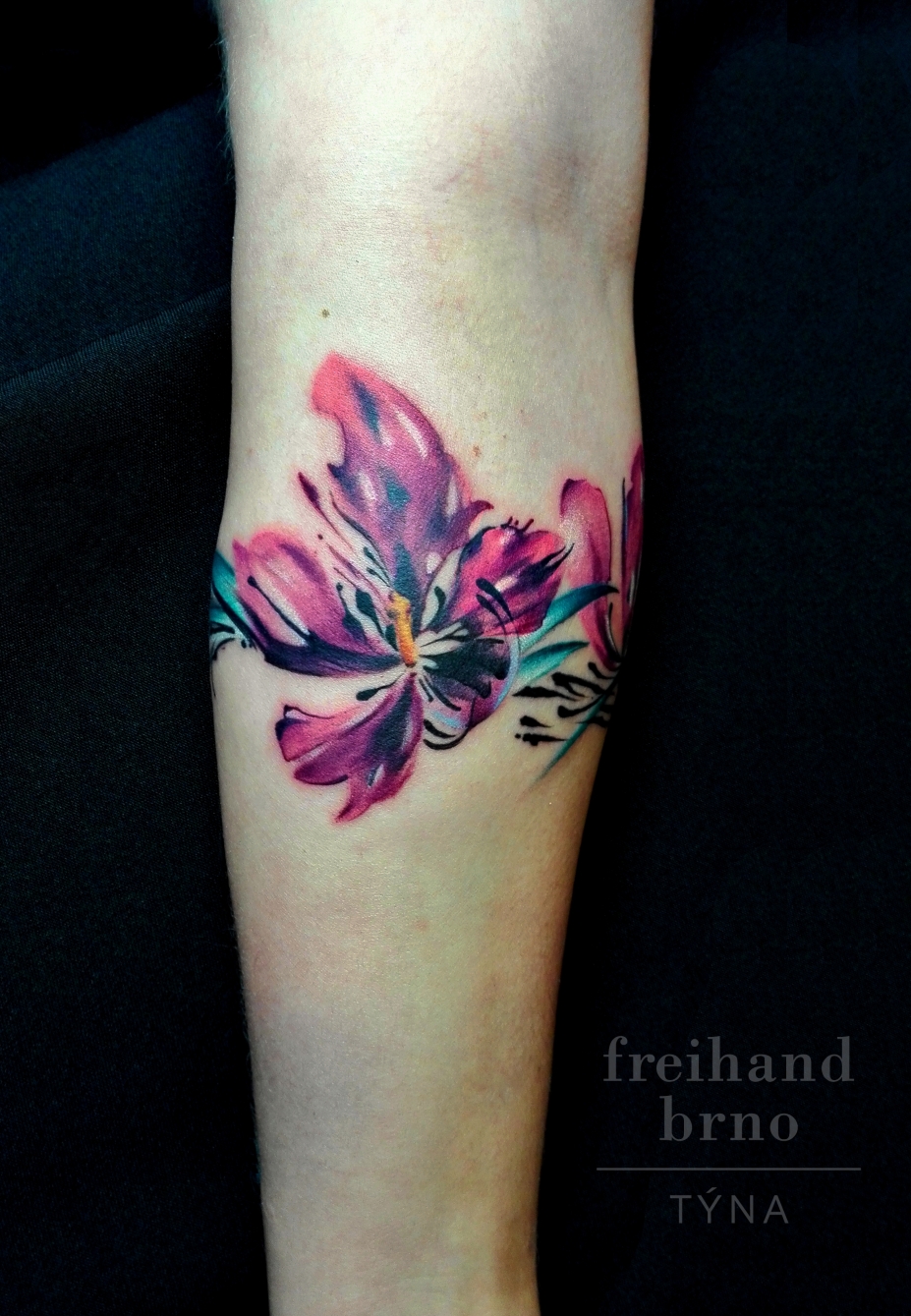 Freihand Brno Tattoo foto 5