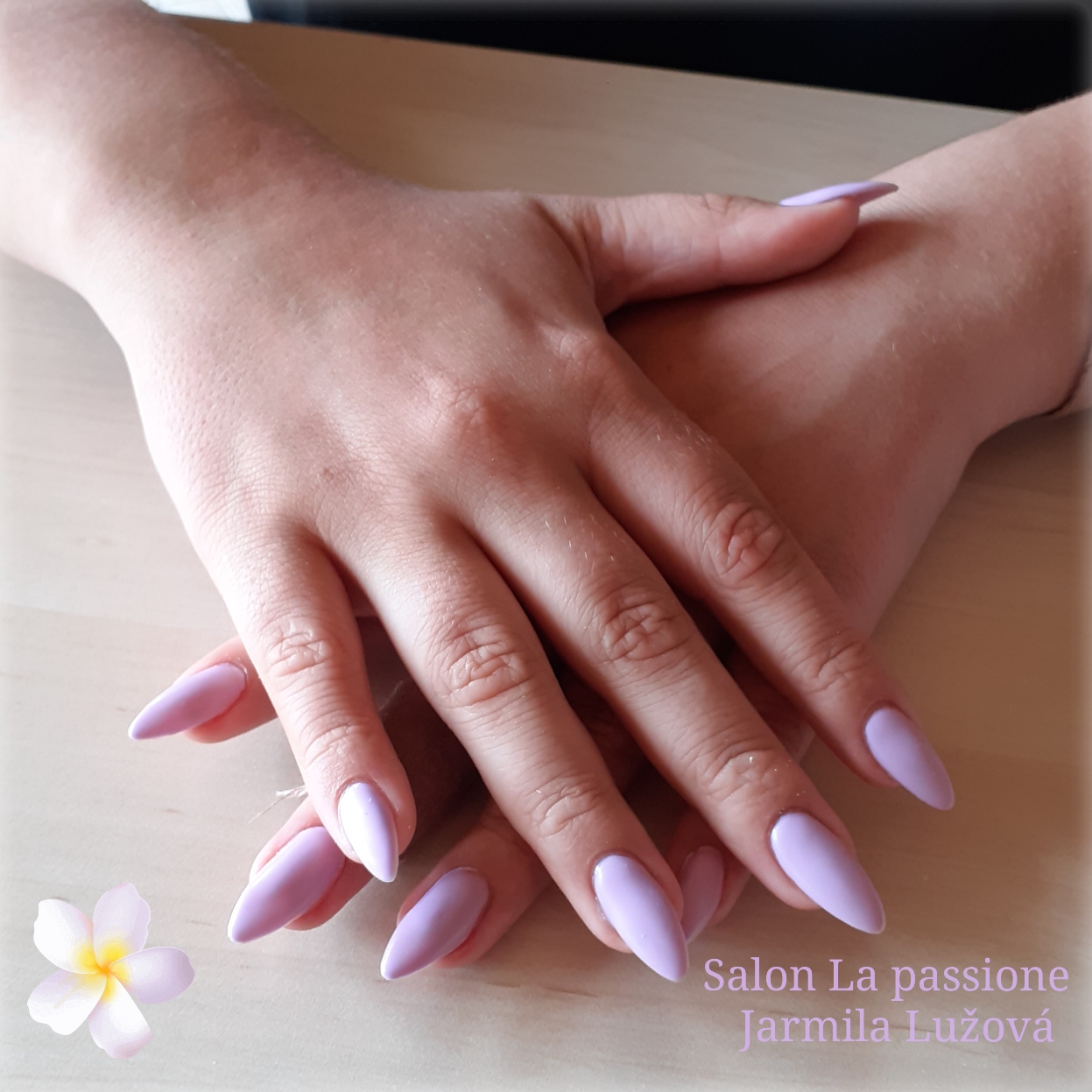 Salon La passione Jarmila Lužová foto 4