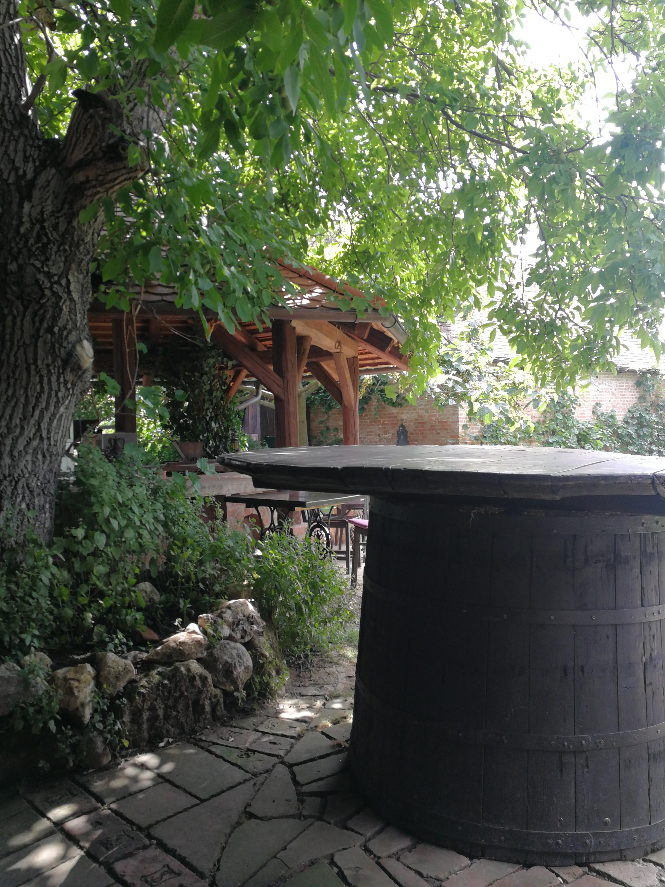 Villa Daniela - Venkovské sídlo milovníků vína foto 5