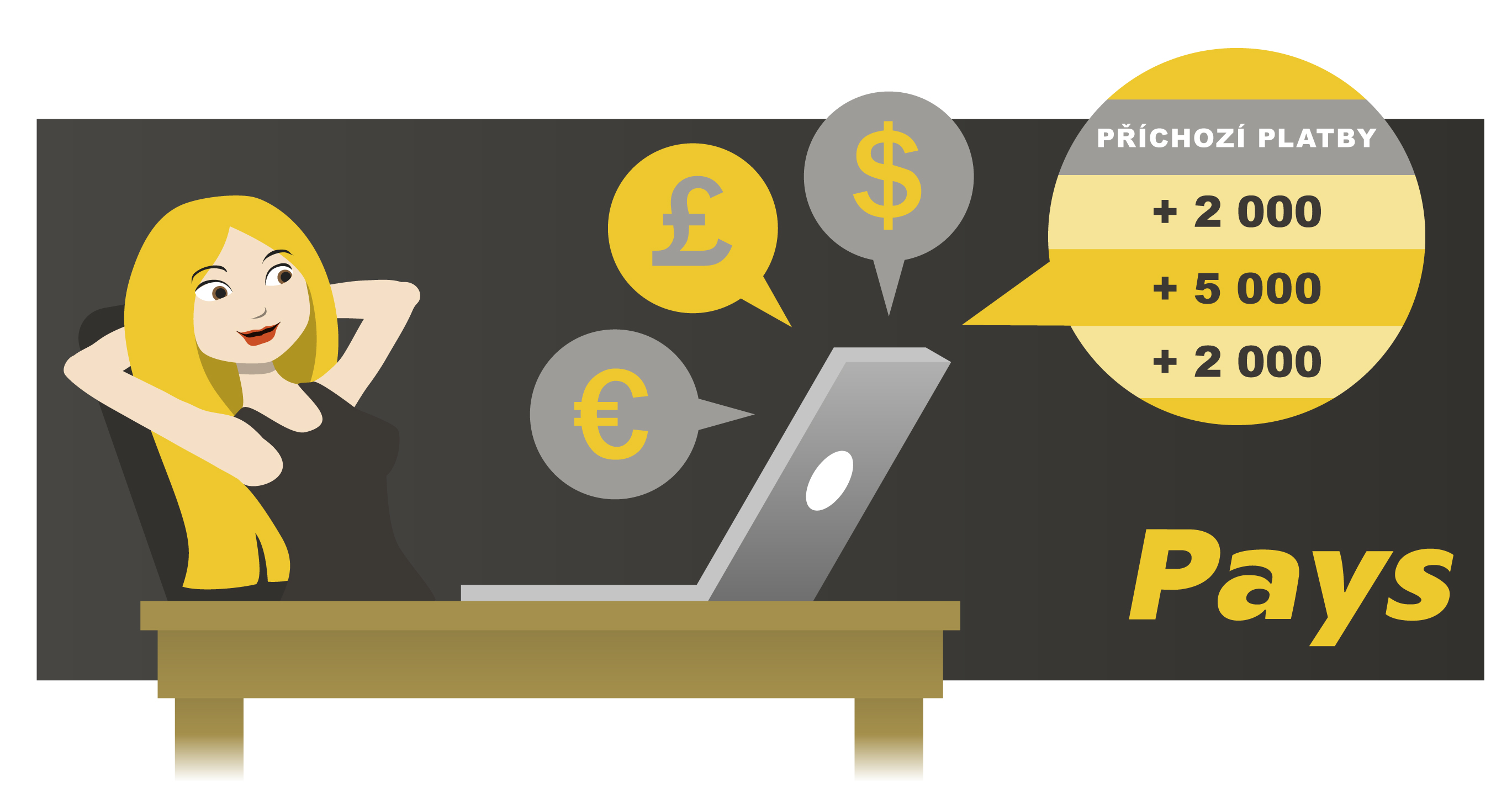 Platební brána Pays foto 4