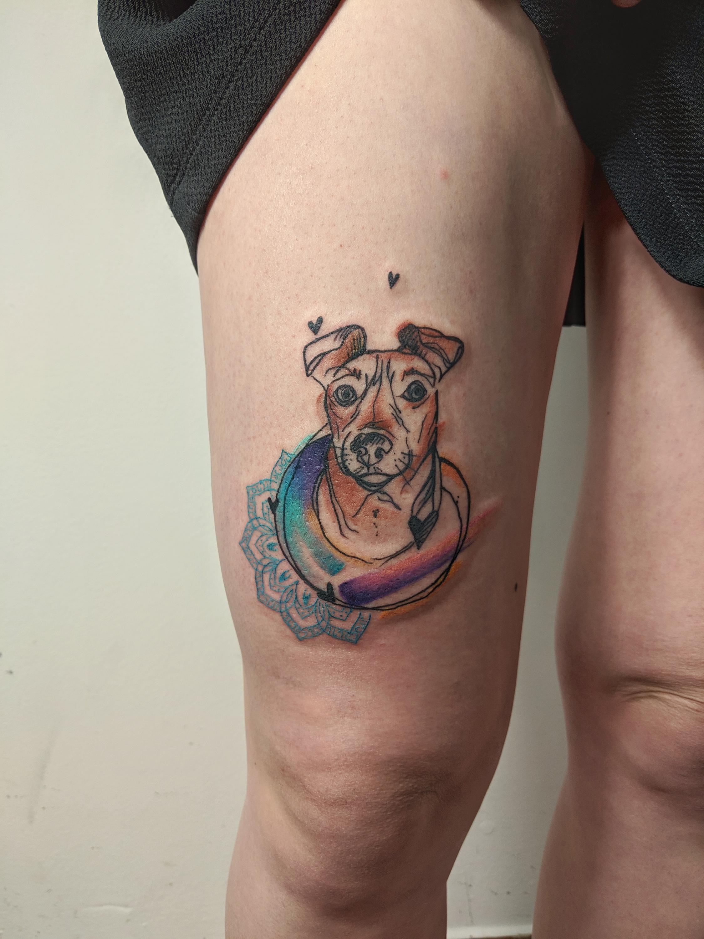 MisVys Tattoo a plecháčky foto 2