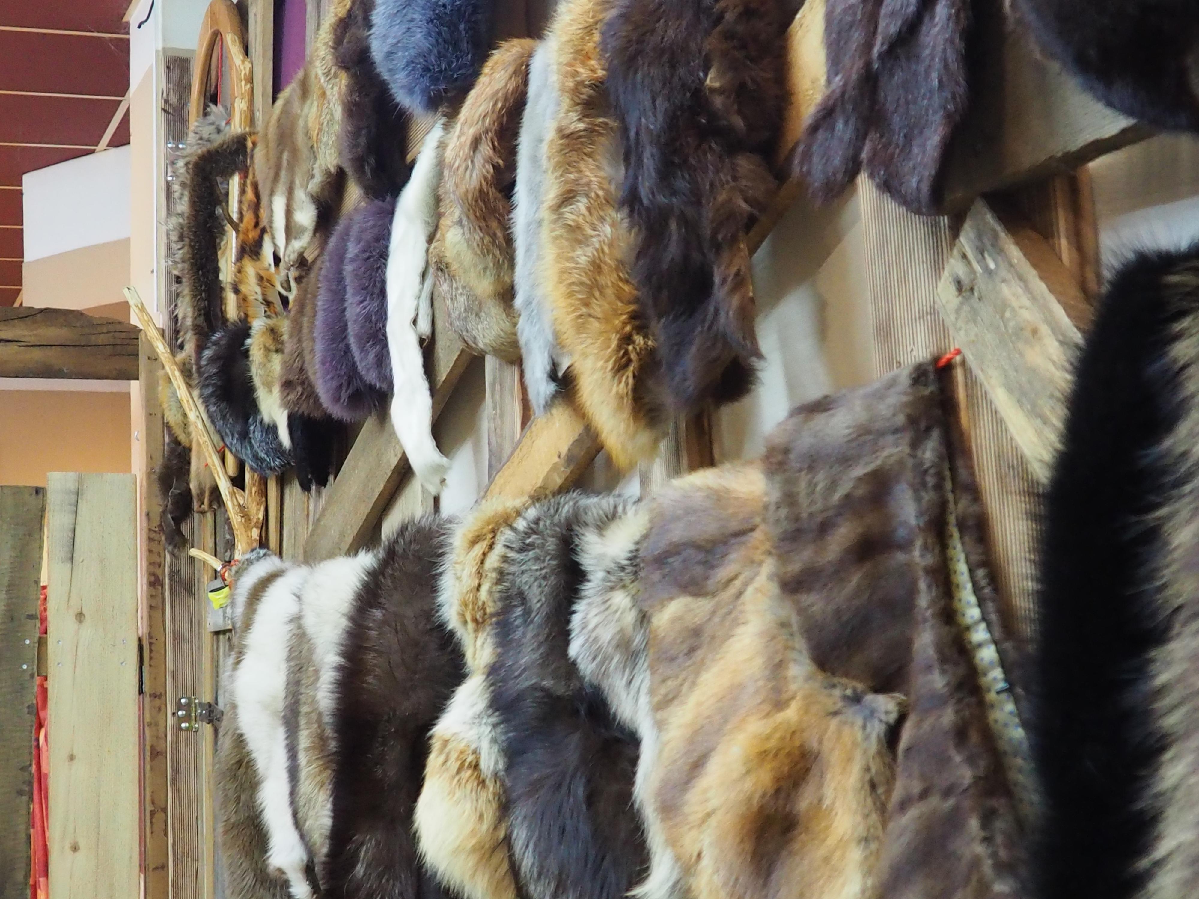 Kožešiny-levně.cz foto 5