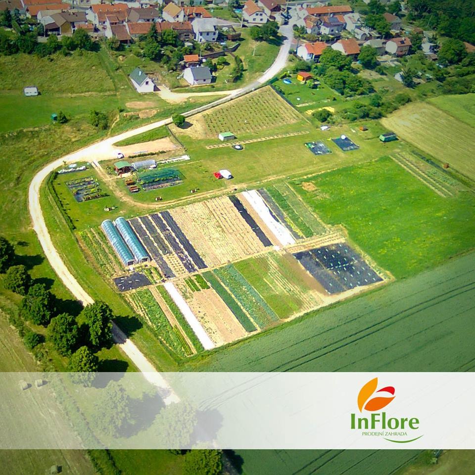Prodejní zahrada InFlore foto 2