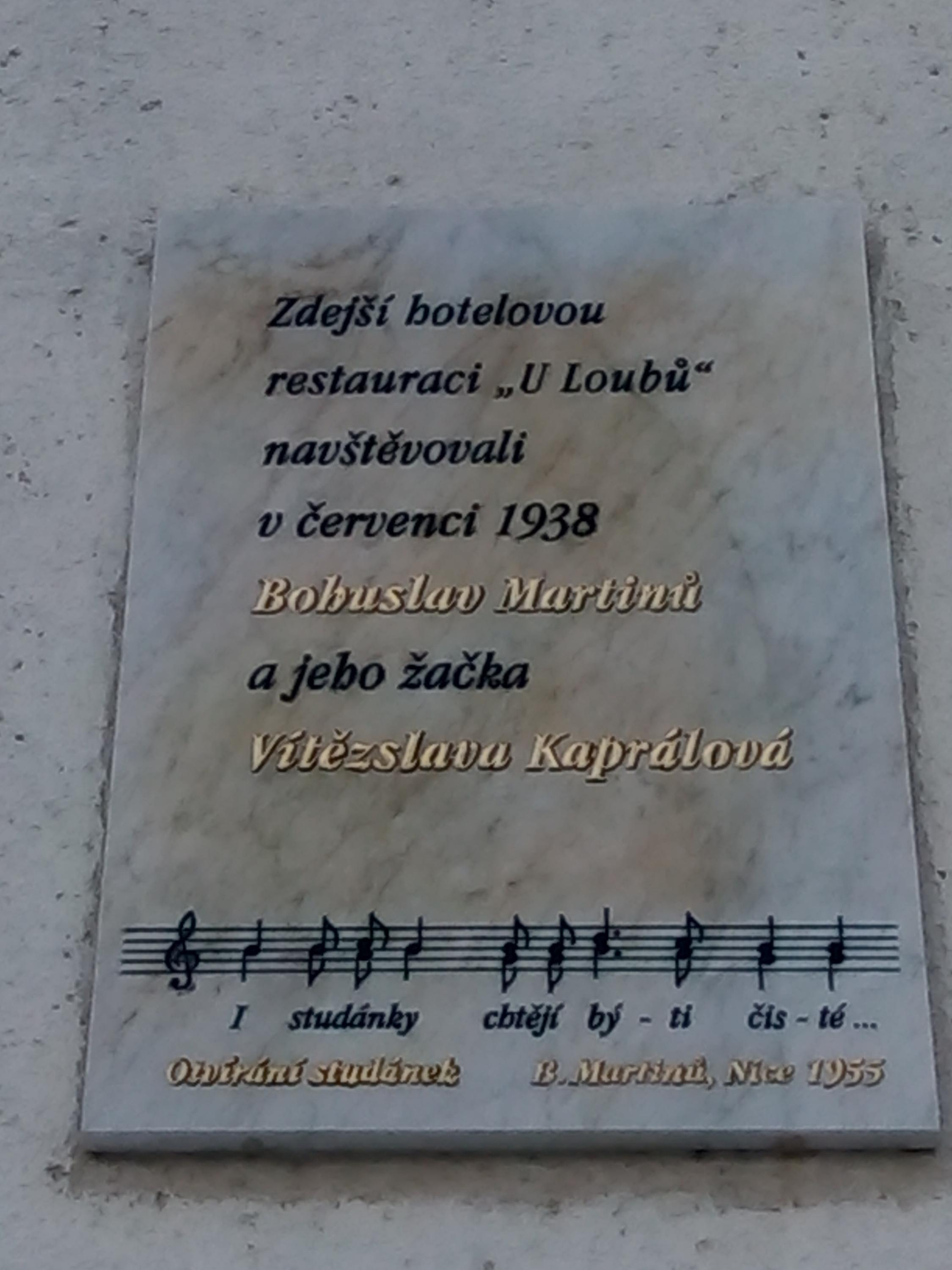 Bazén hotelu U Loubů foto 3