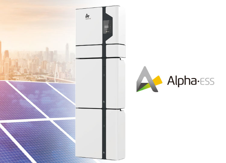 Freesun Storion Smile foto 2