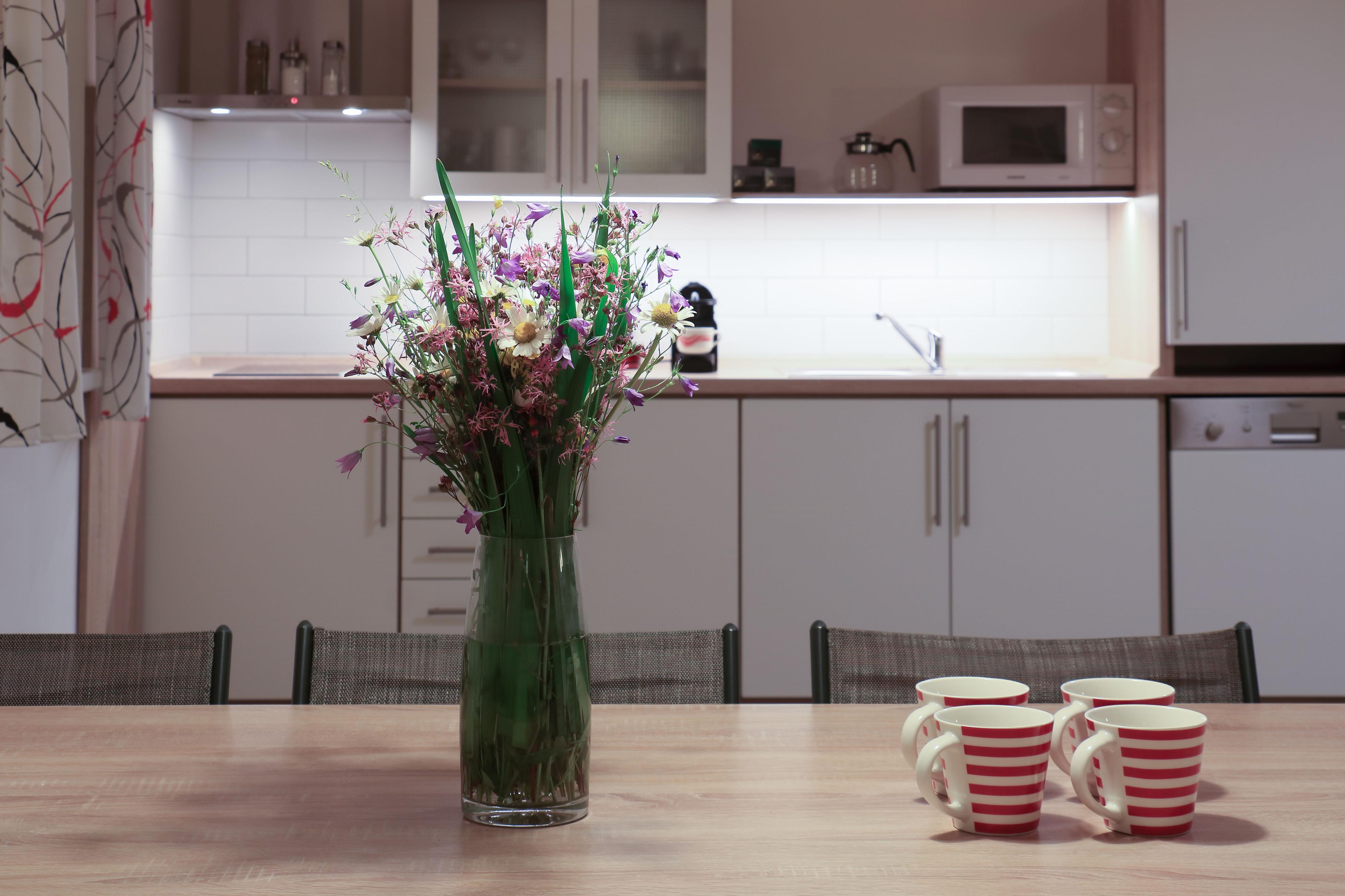 Chalupa U první skály foto 5