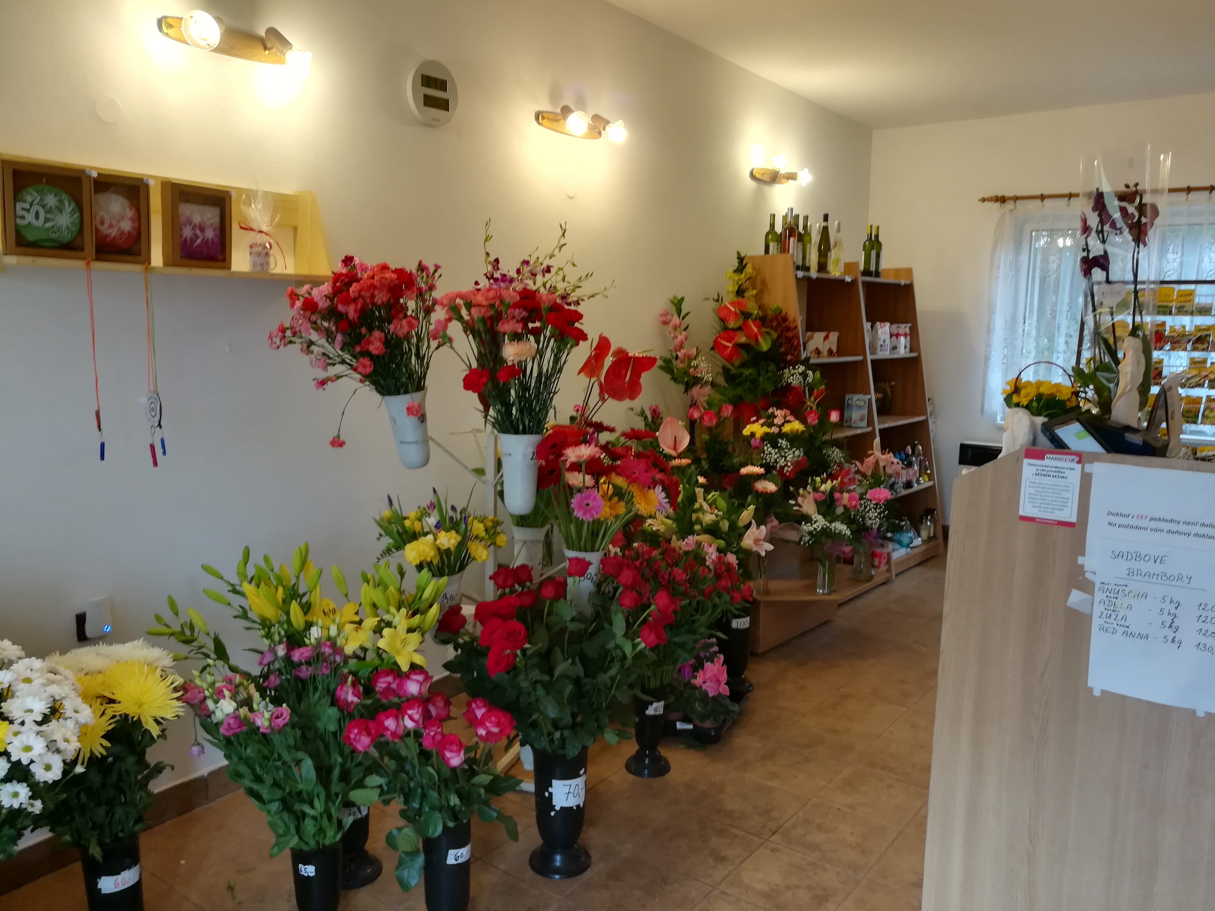 Irma Sládková foto 4