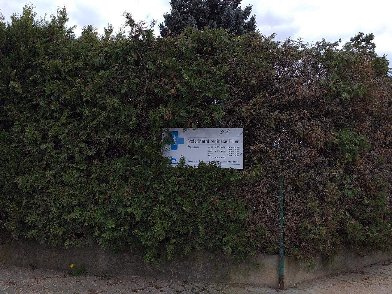 Veterinární ordinace MVDr. Igor Piller foto 1