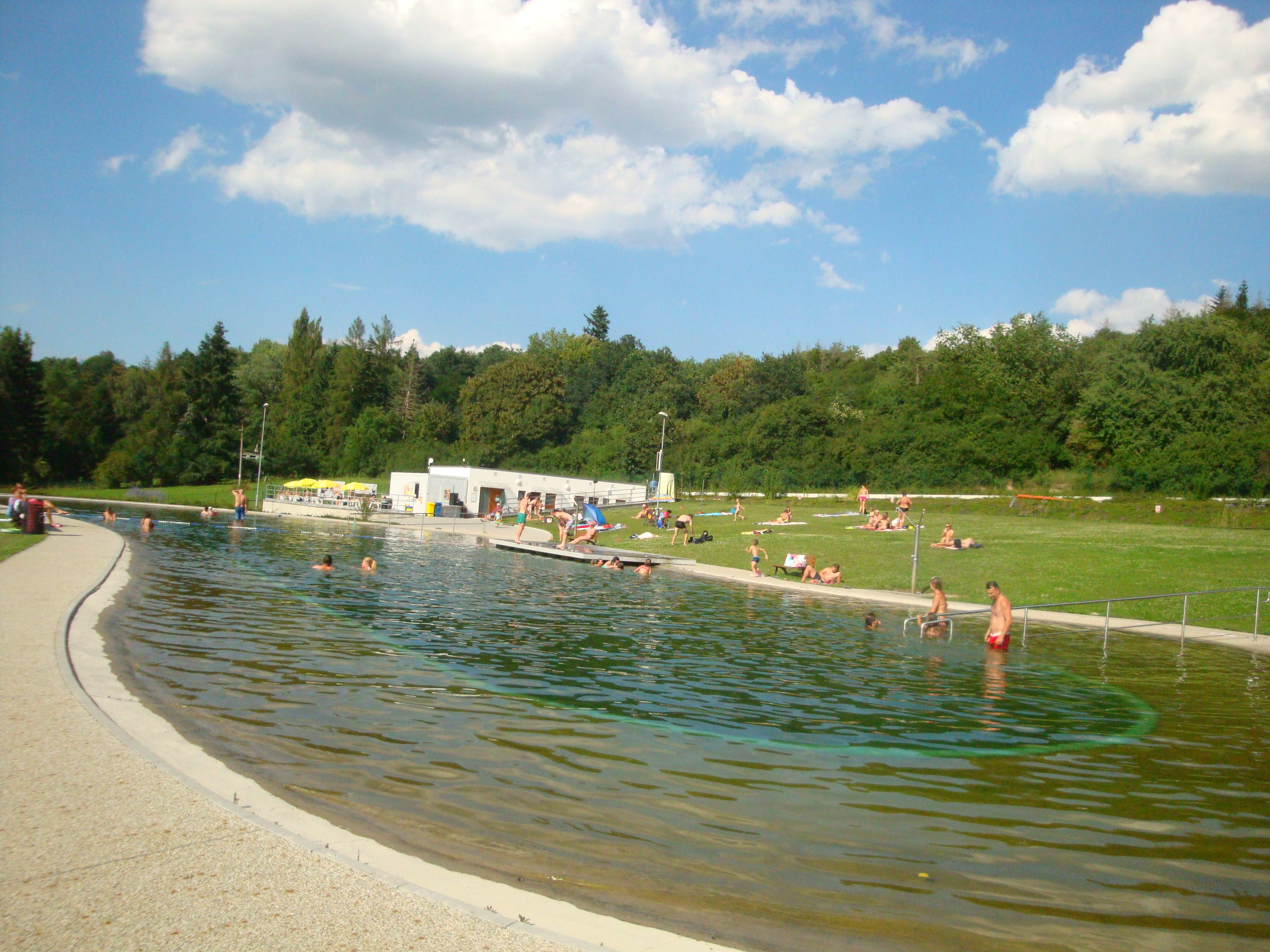 Přírodní koupací biotop Blovice foto 4